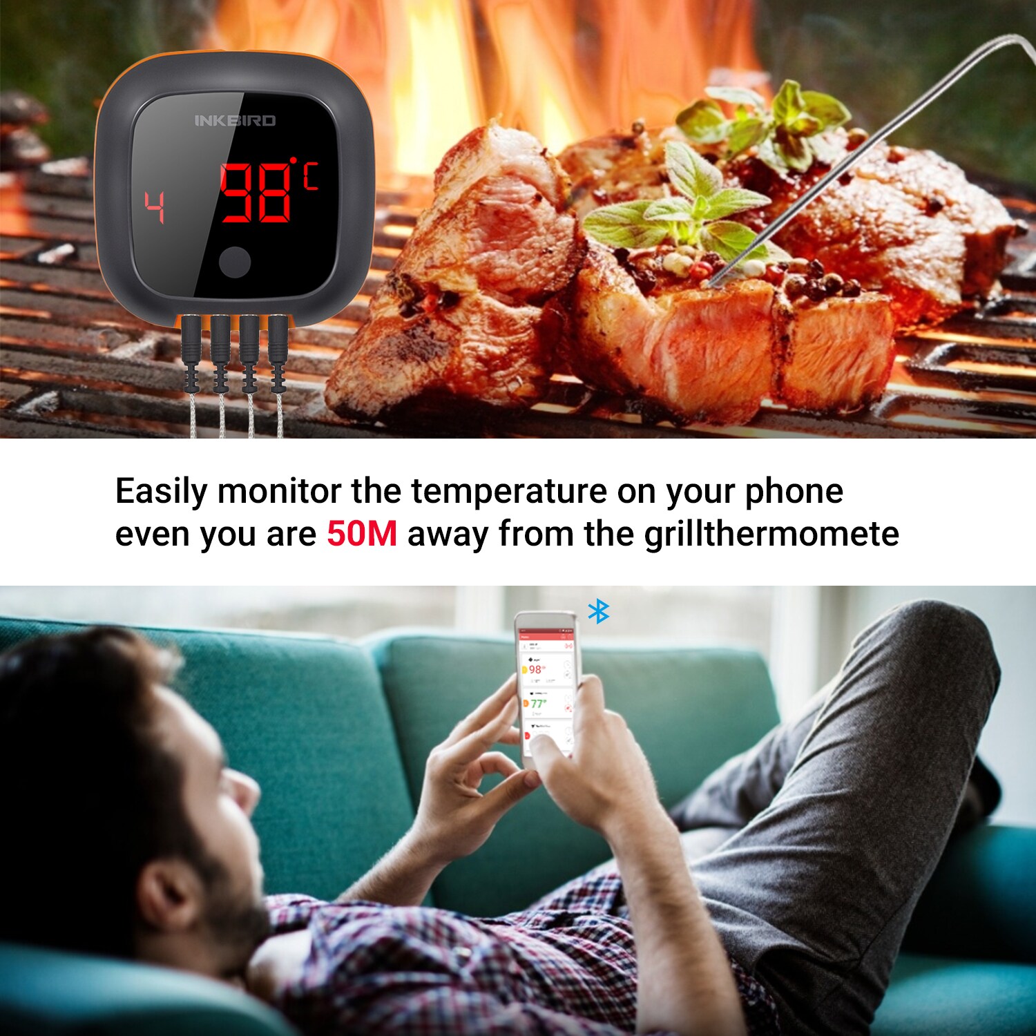 BBQ Dragon WiFi & Bluetooth Meat Thermometer - BBQ Dragon