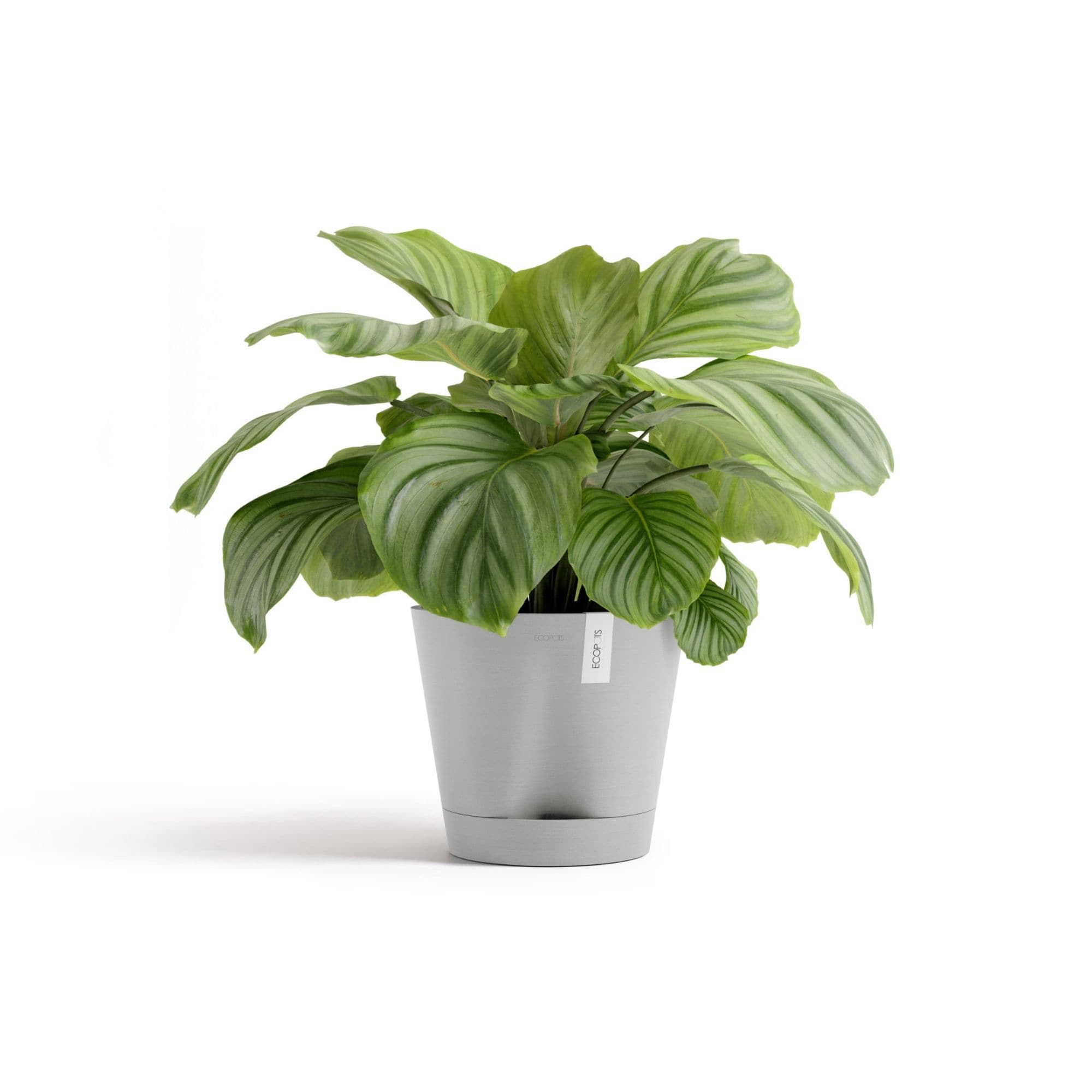 ECOPOTS 5413724329442 Planter-Window-Box - View #3