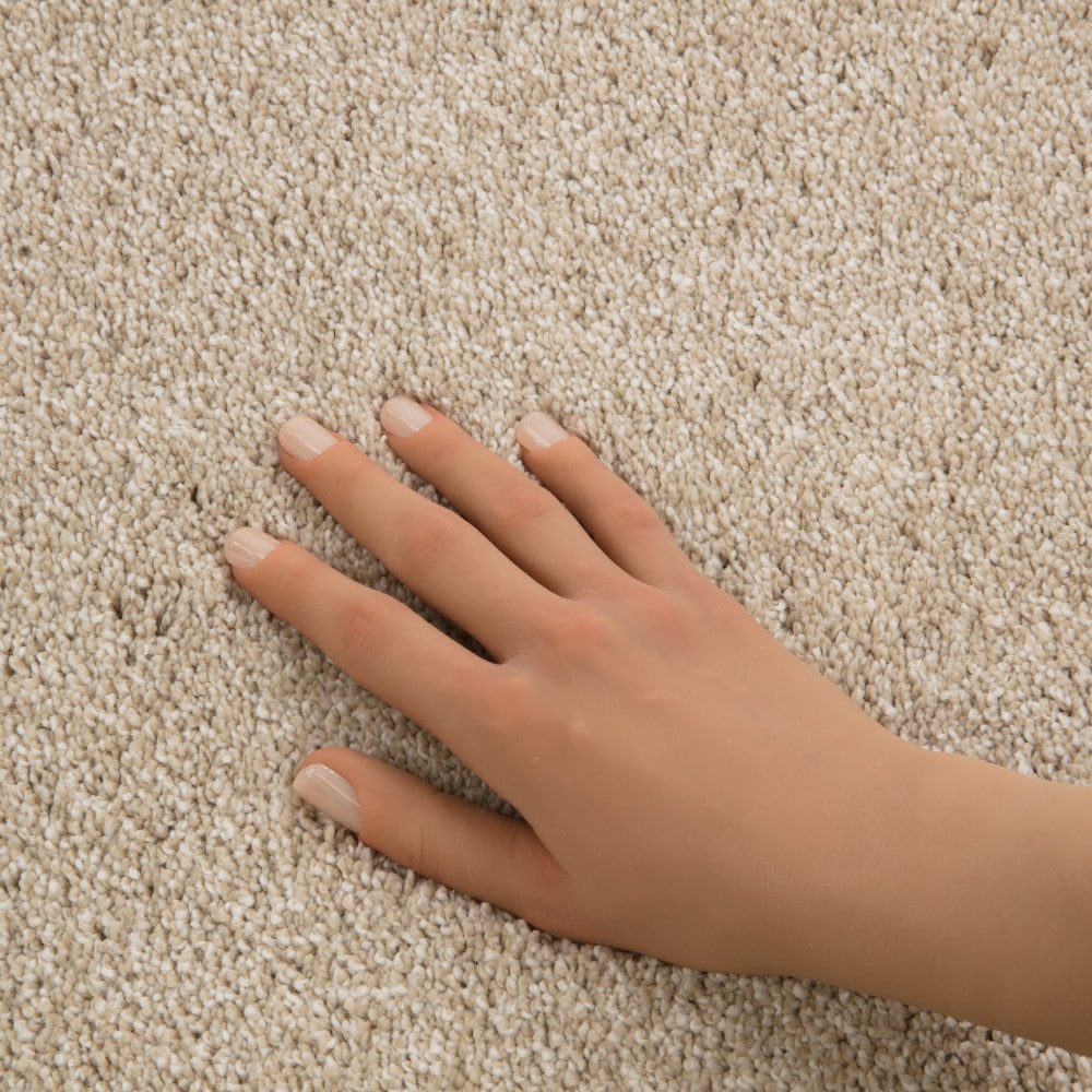 STAINMASTER PetProtect 7L996-125-SAMP Carpet-Samples - View #7
