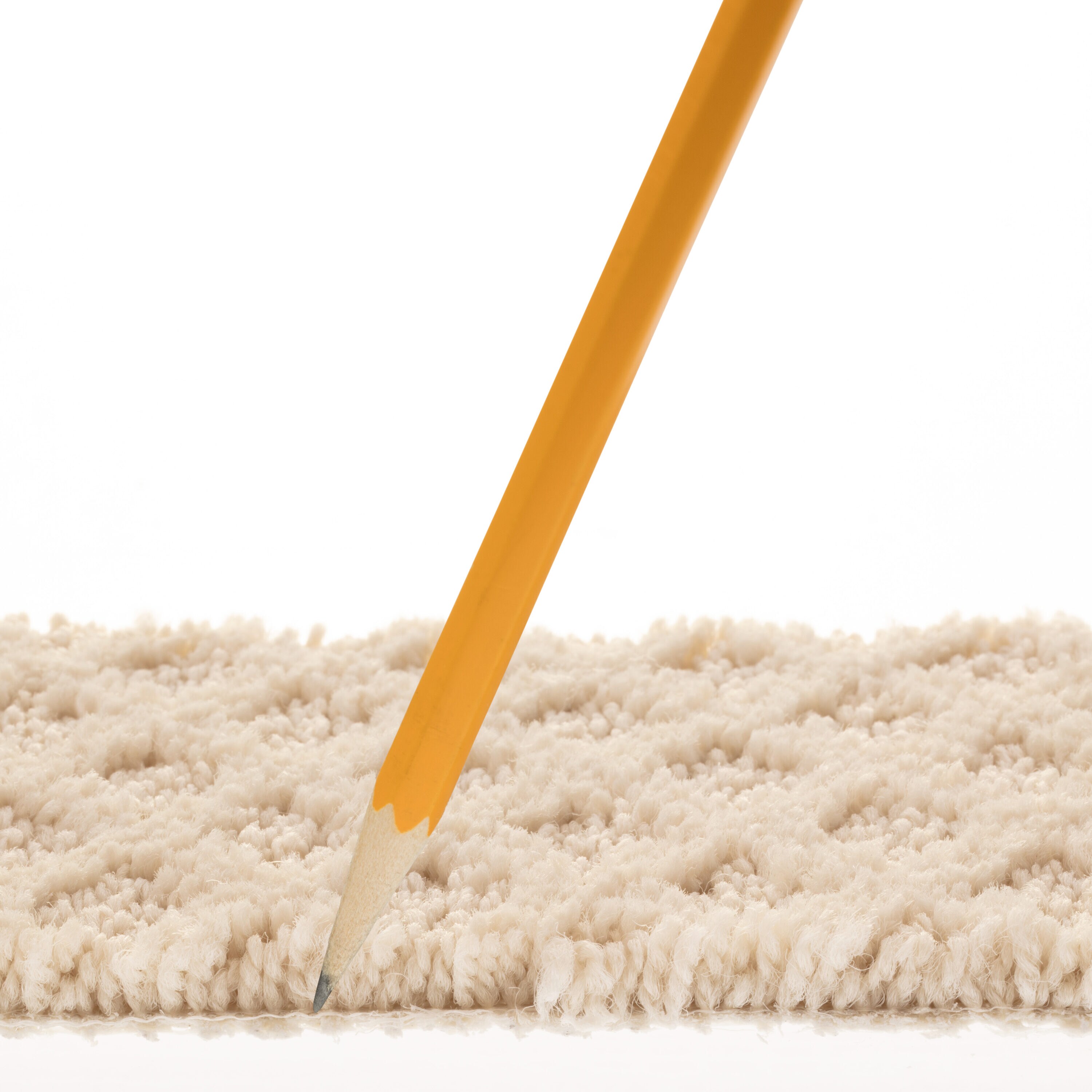 STAINMASTER 7L904 - 183 - SAMP Carpet-Samples - View #7