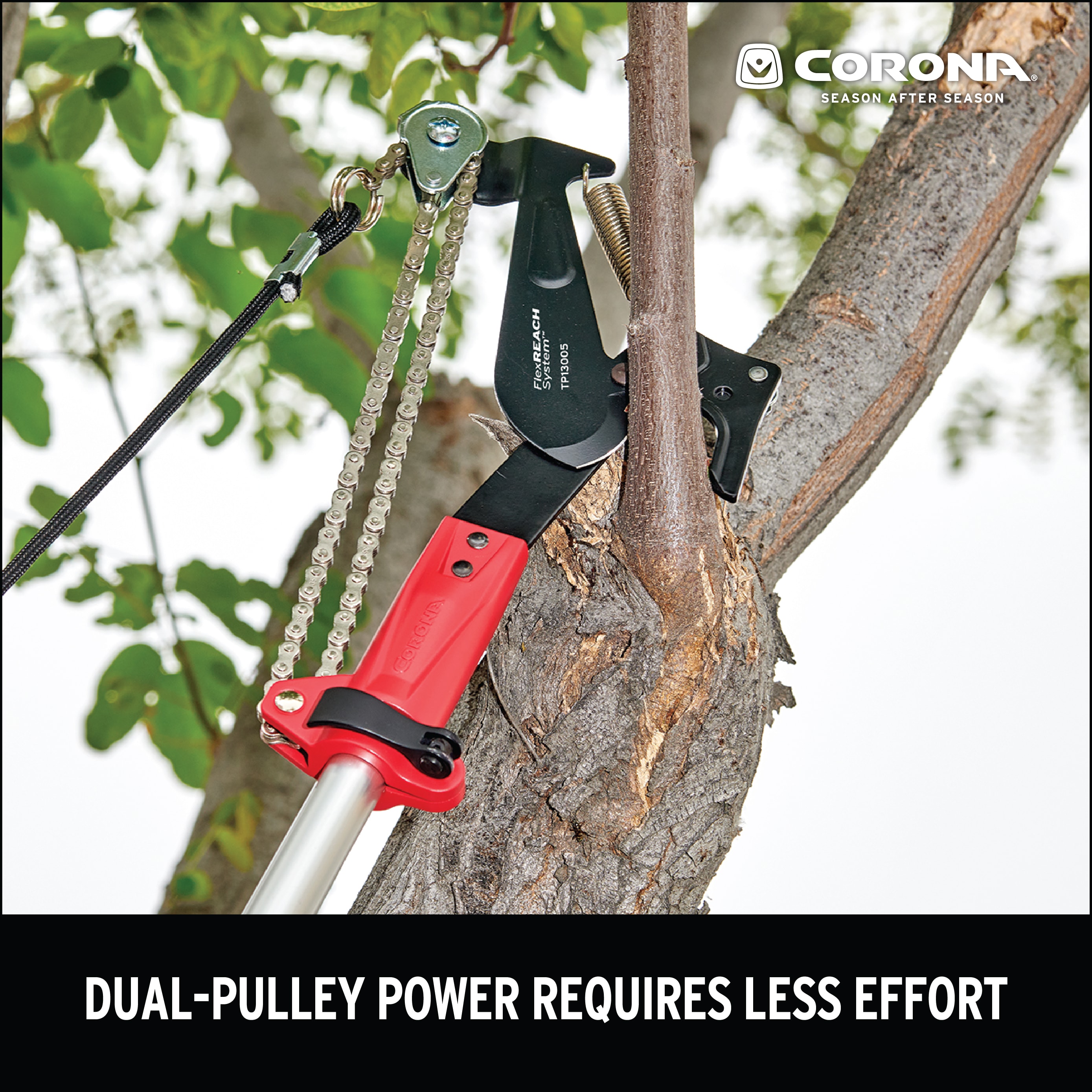 Corona TP13005 Pole-Pruning - View #7