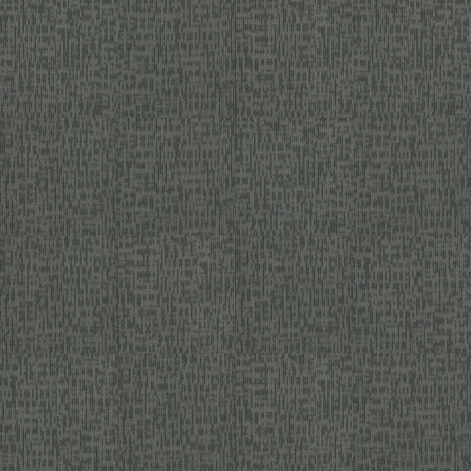 Shaw 7L80944515 Carpet-Tile - View #12