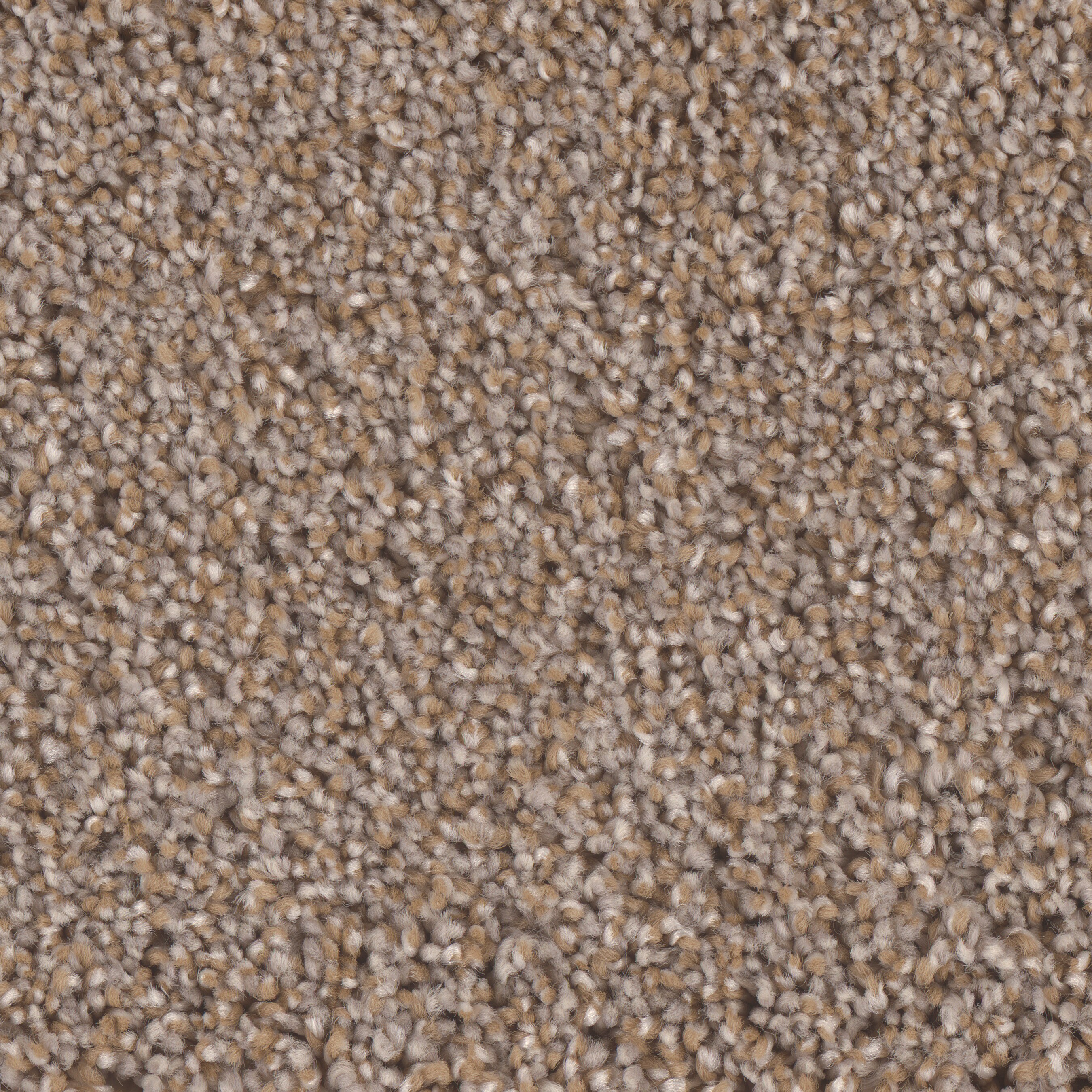 STAINMASTER S9560-712-1200-MO Bay Village Cambridge Multi-Colored 60-oz sq yard Polyester Textured Indoor Carpet