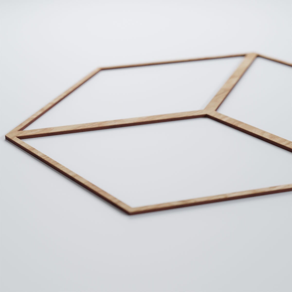 Ekena Millwork WALW24X24X0250PBLRO Wall-Panels - View #5