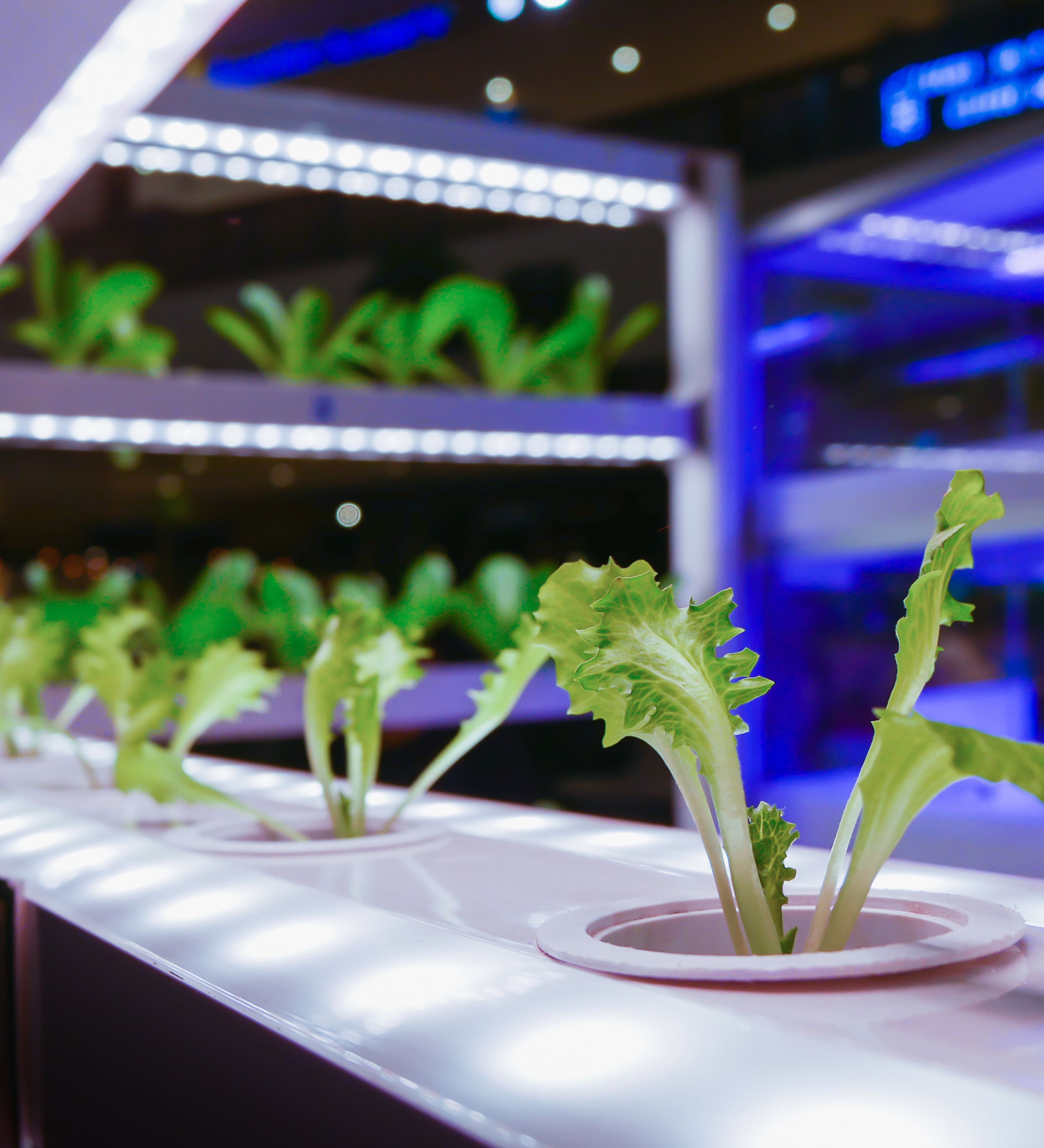 Viribright Lighting 290107 Grow-Lights - View #8
