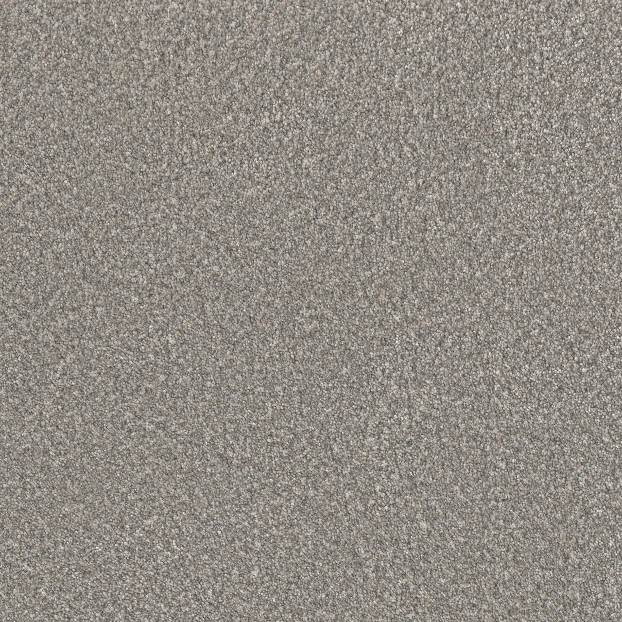 STAINMASTER PetProtect L3014-1308-1200-AB Wagging Rights II Georgian Gray 55-oz sq yard Solution-dyed polyester Textured Indoor Carpet