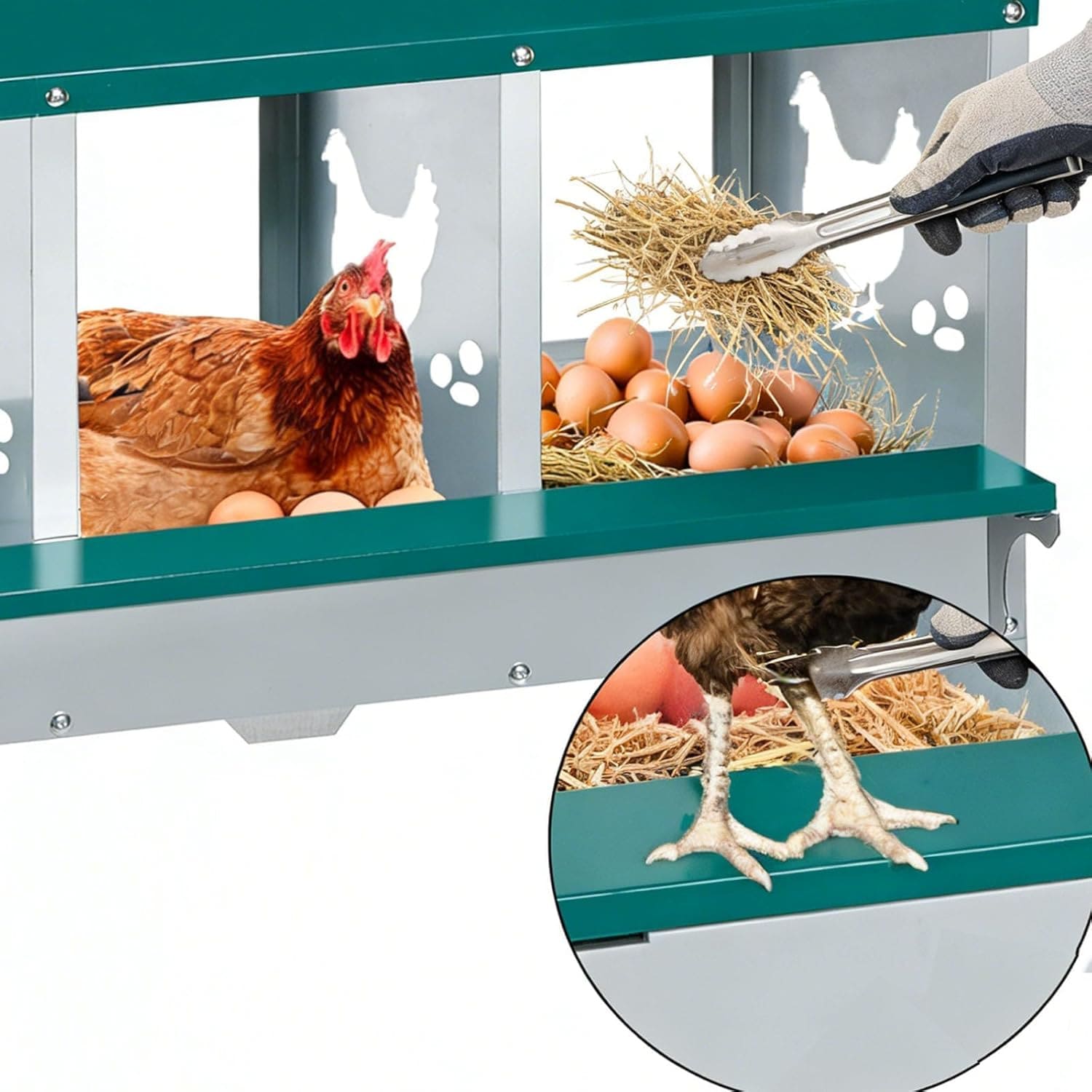 GarveeLife 33HJK73DCBN Chicken-Coops-Rabbit-Hutches - View #8