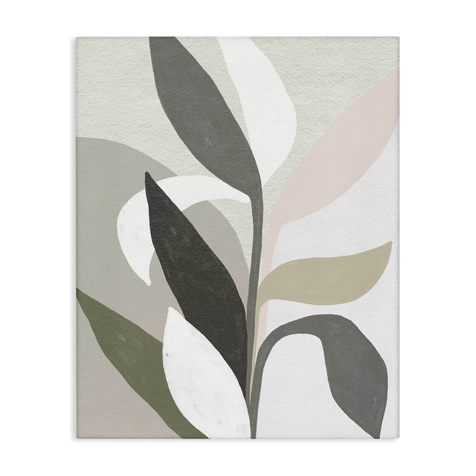 Stupell Industries BS-372-CN-30X40 Soft Modern Organic Leaves Canvas Wall Art By June Erica Vess 30 x 40