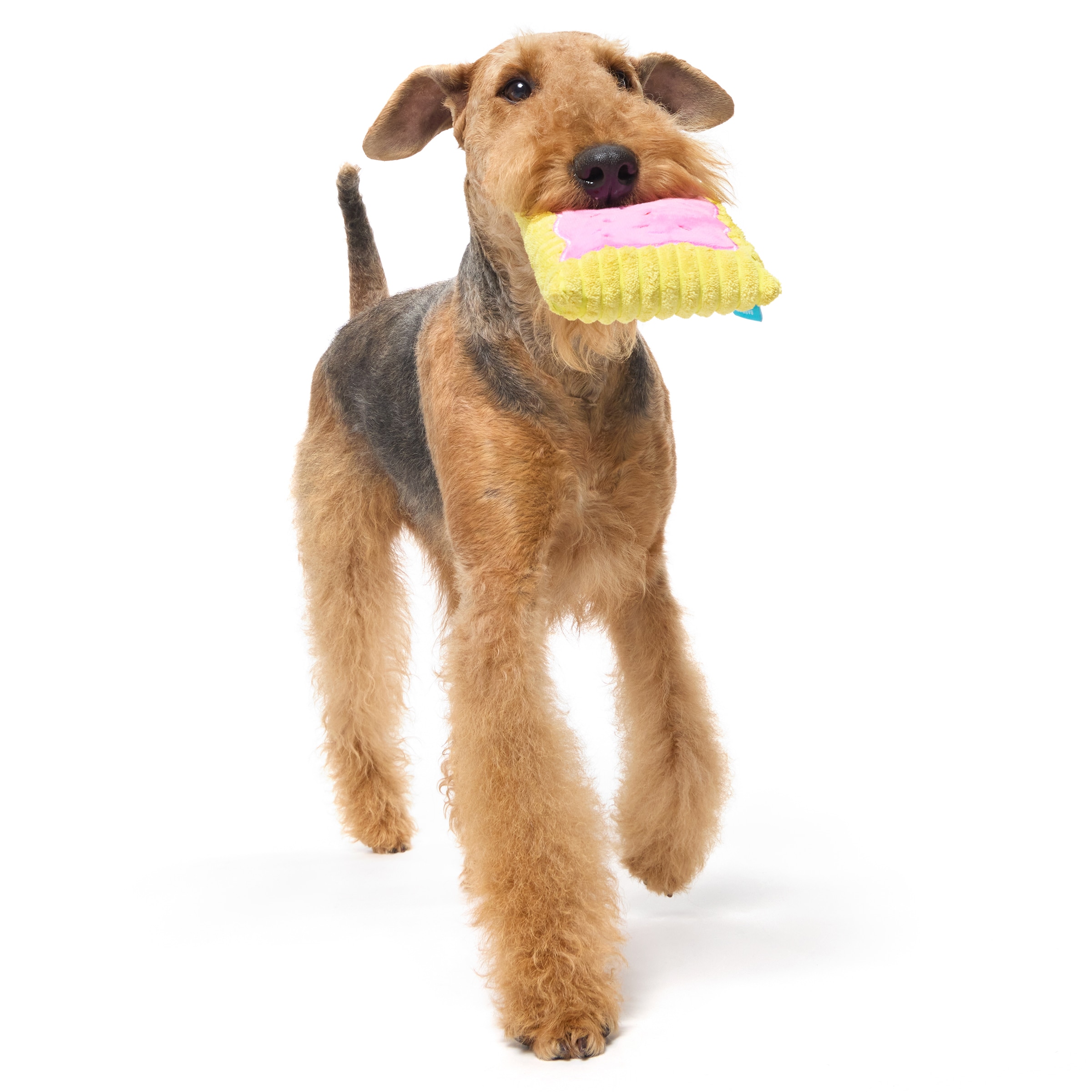 BARK 215922 Dog-Toys - View #4