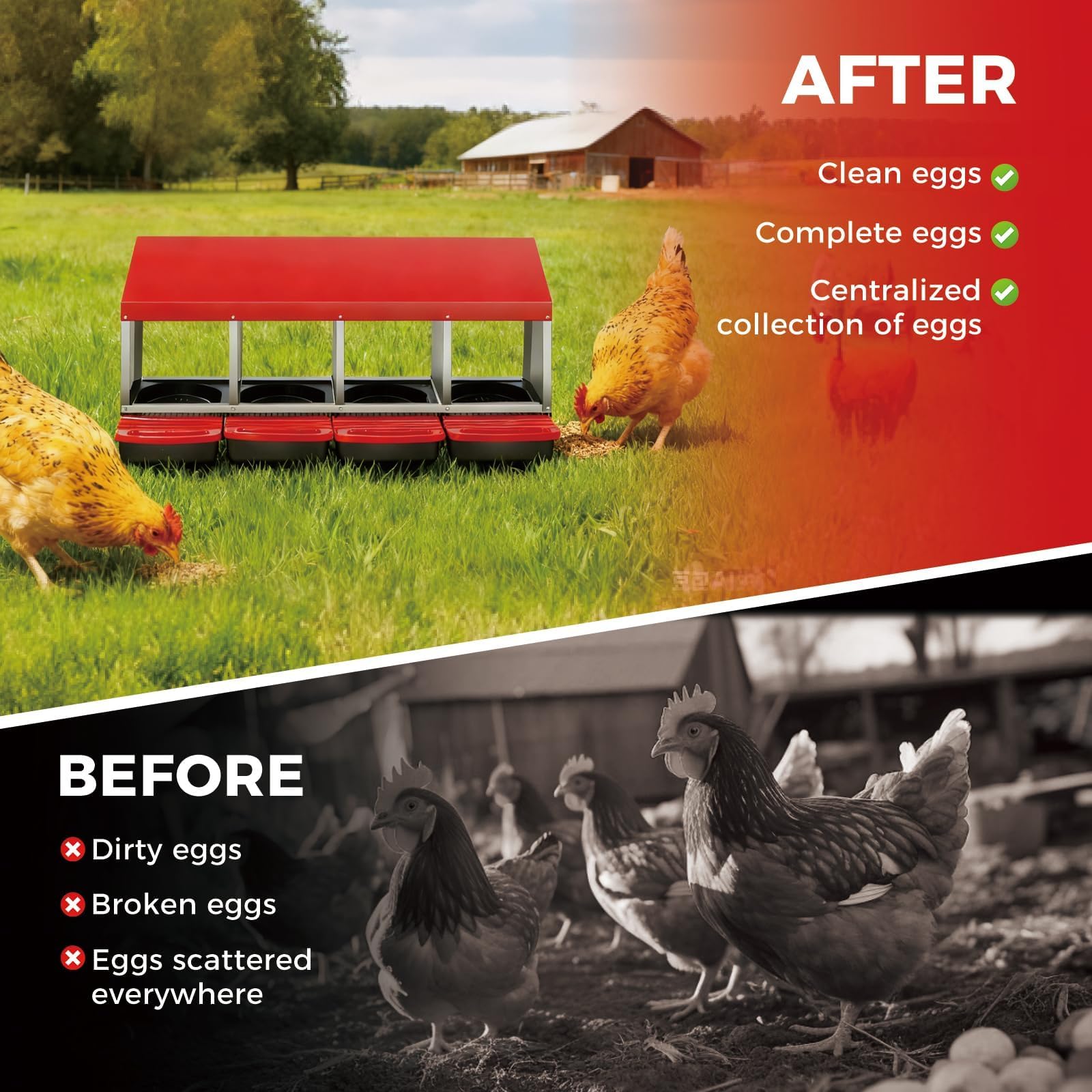 DEXSO ENCOREPPGBA5505 Chicken-Coops-Rabbit-Hutches - View #5