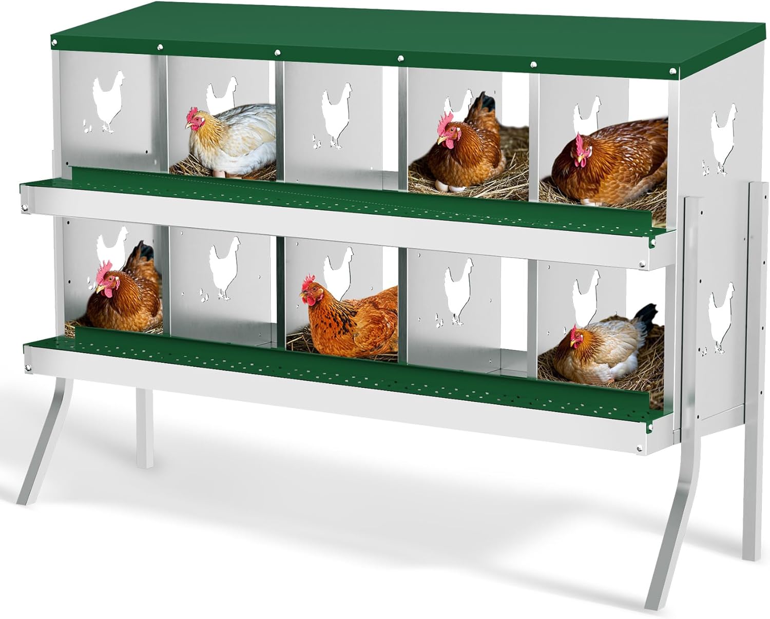 Qeetex GGL-PHO-348SCHLC 10-Hole Green With Stand Chicken Nesting Box  Chicken Nesting Box with Legs  Metal Chickens Laying Boxes with Perch  Metal Roll Away Eggs Laying Boxes  Versatile Wall Mount for Chickens