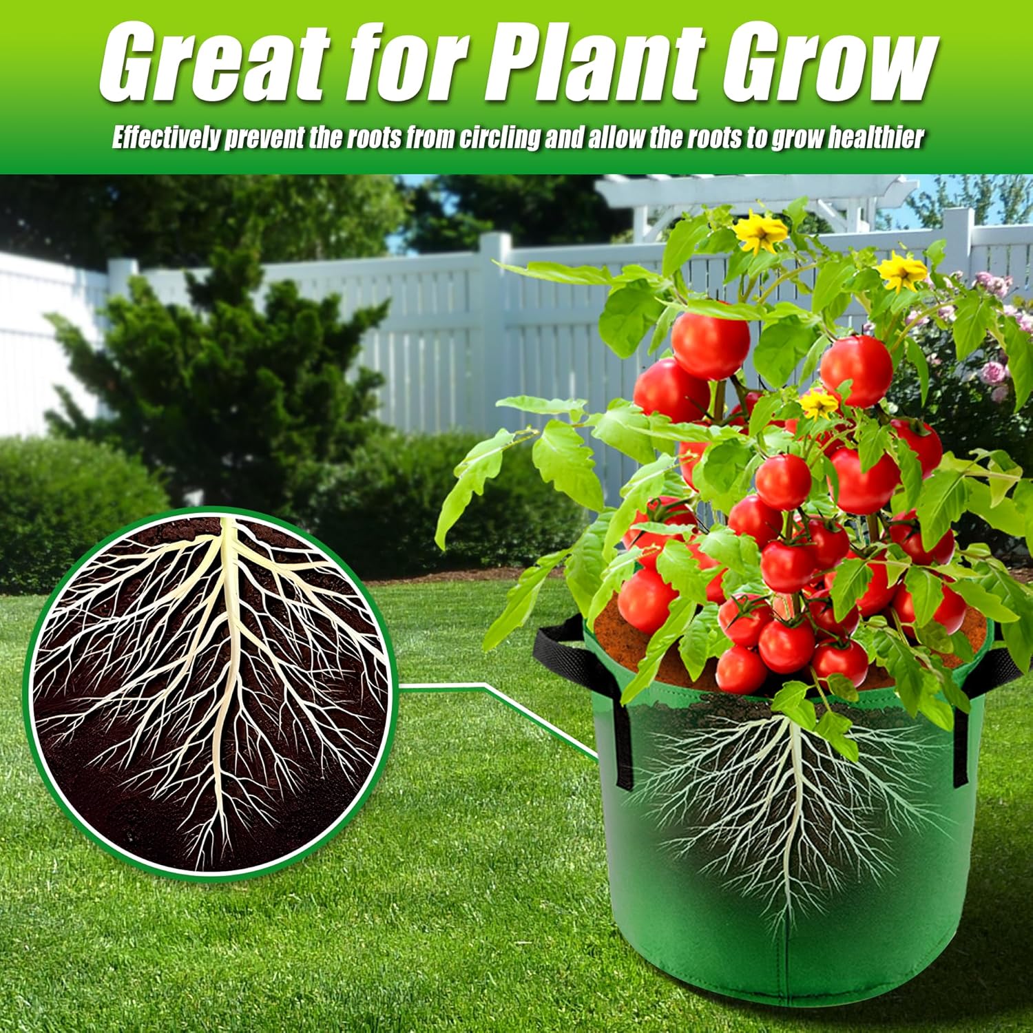 CJGQ CJGQ-X0042HM5A1 Planter-Window-Box - View #5