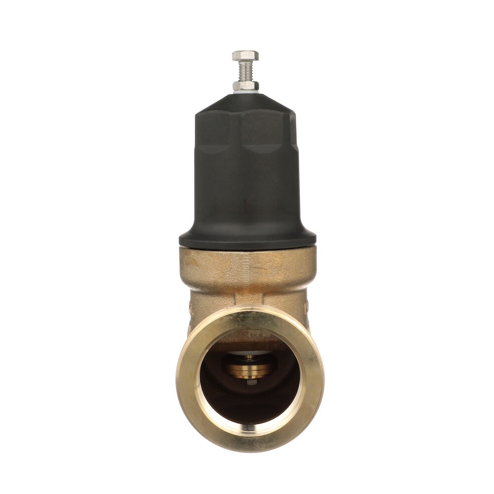 Zurn Wilkins 2-NR3XLDULU Pressure-Relief-Valves-Regulators - View #9