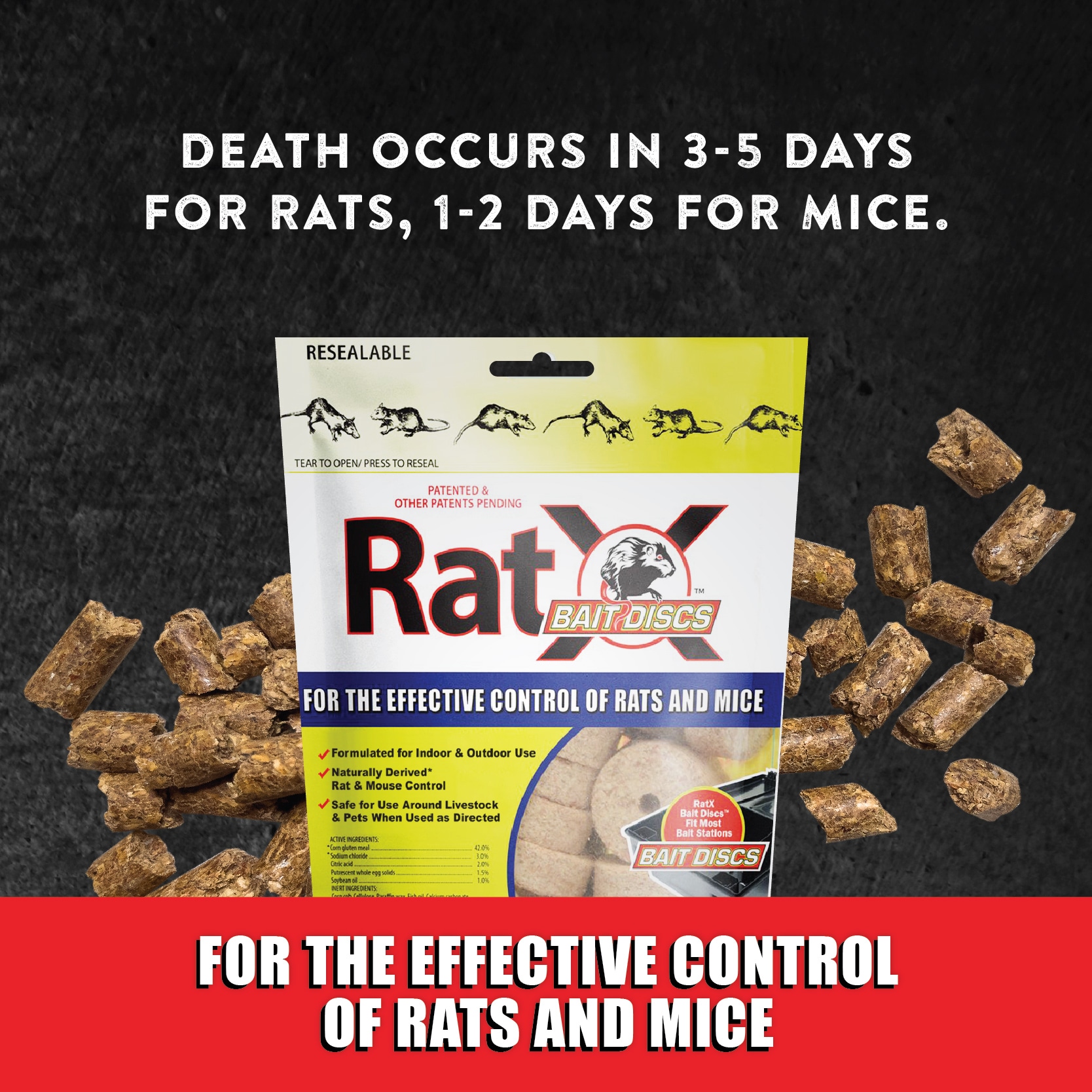 RatX Bait station Rat Killer at
