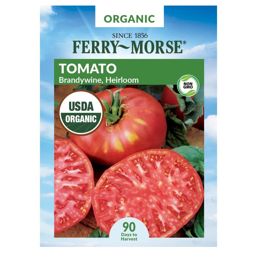 Ferry-Morse Organic 175-mg Tomato Brandywine Vegetable (Seed Packet) at