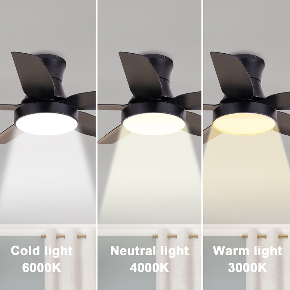 Sunrinx MG40-16-FL Ceiling-Fans - View #5