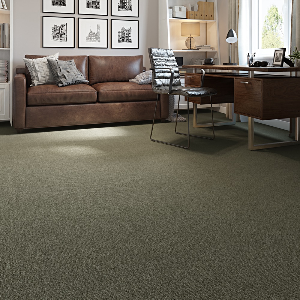  LC71-12-L009 Carpet-Panel - View #3