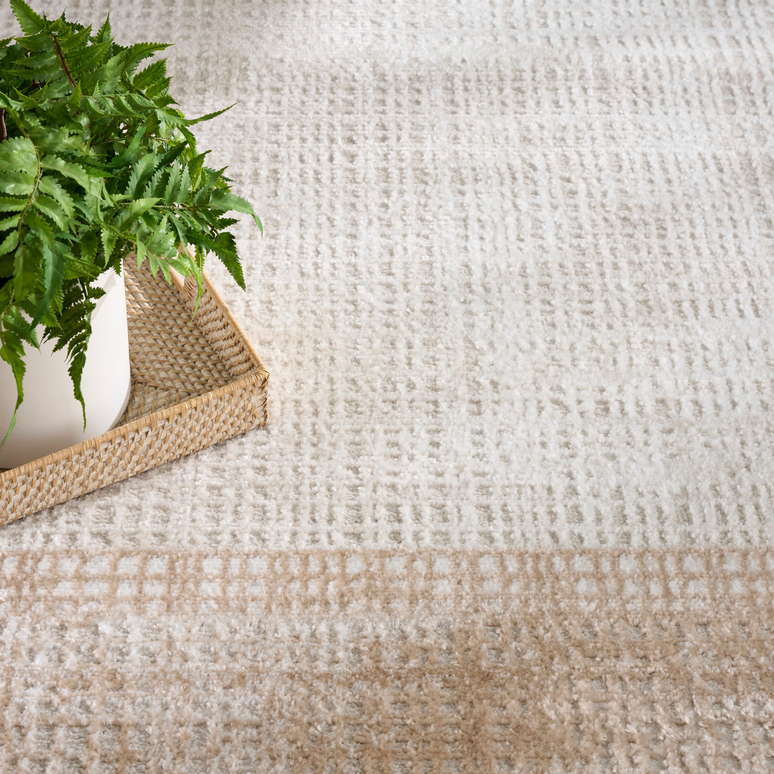 Nourison 841491153178 rugs - View #3