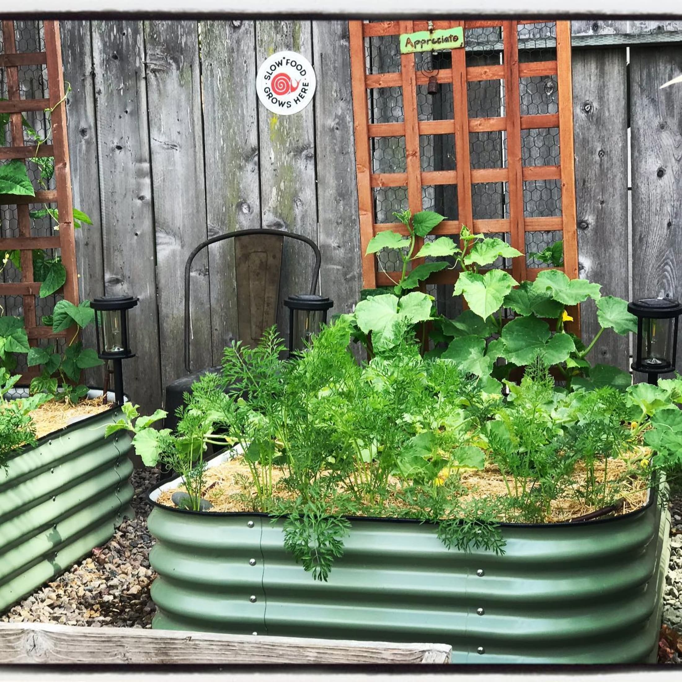 Vego Garden VB4N111G Raised-Garden-Beds - View #2