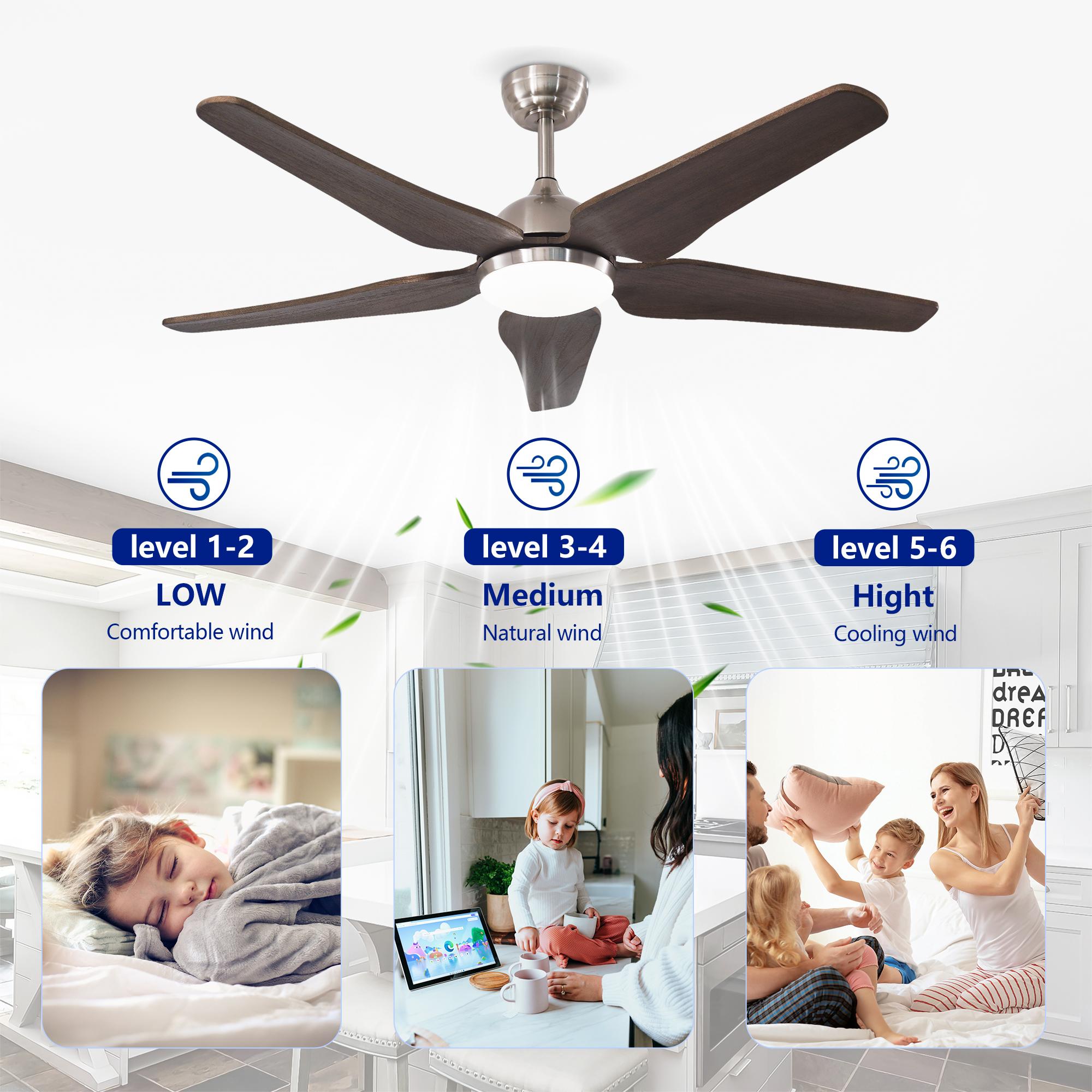 Bayfeve BF-443067-MP Ceiling-Fans - View #10