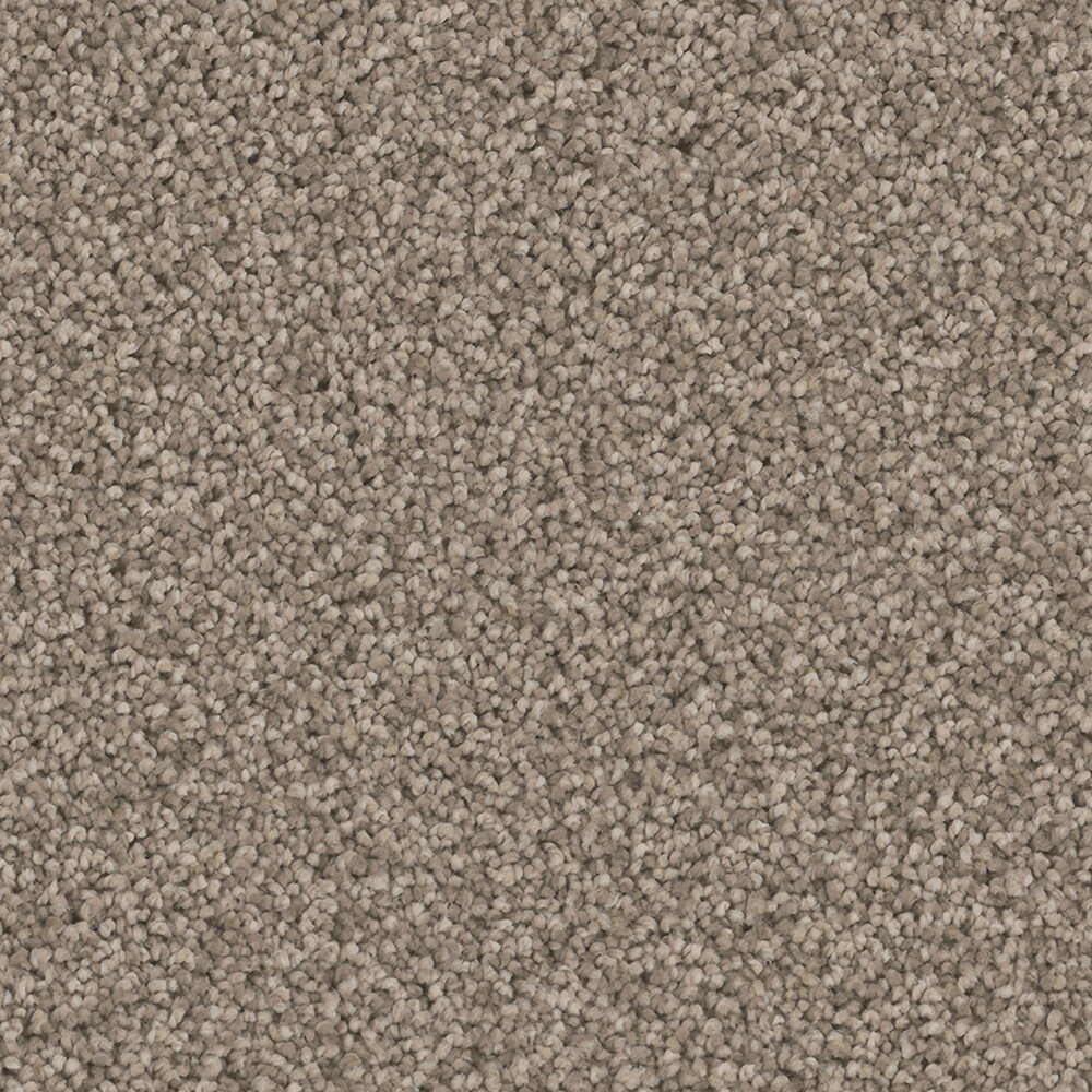 STAINMASTER PetProtect S9354-811-1200-MO Mar Vista Sunset Multi-Colored 54-oz sq yard Nylon Textured Indoor Carpet