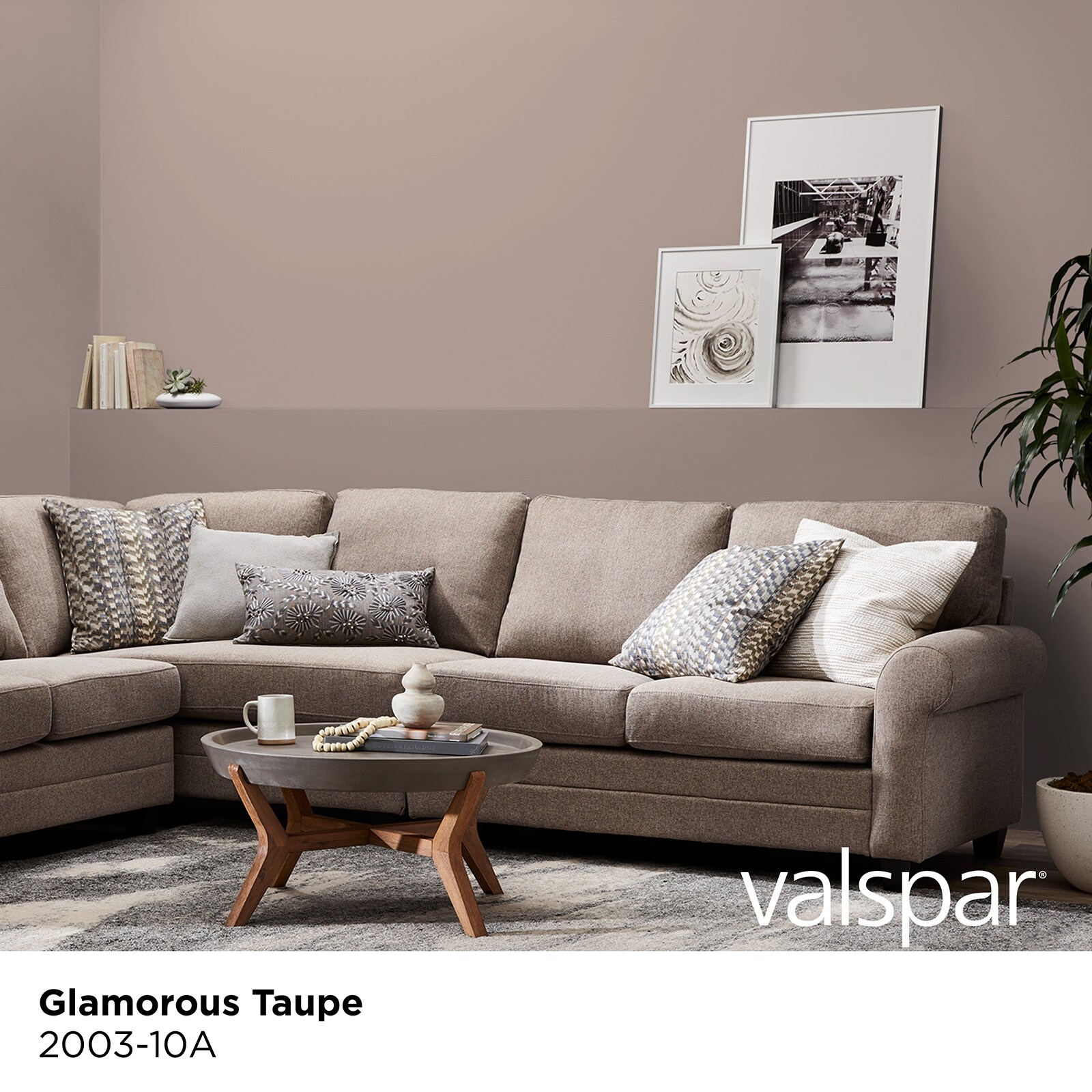 Valspar 2003-10A-773967 Int-Ext-Paint - View #2
