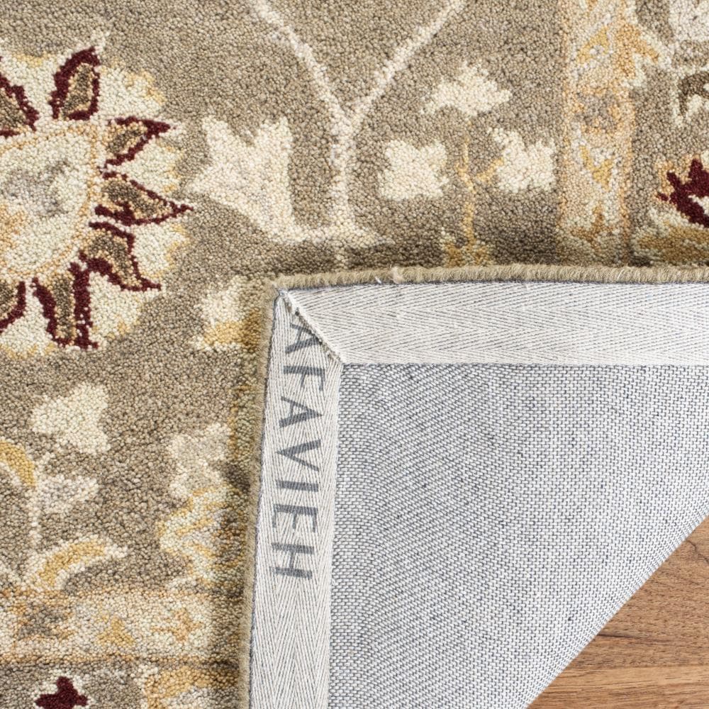 Safavieh AN559A-4 rugs - View #4