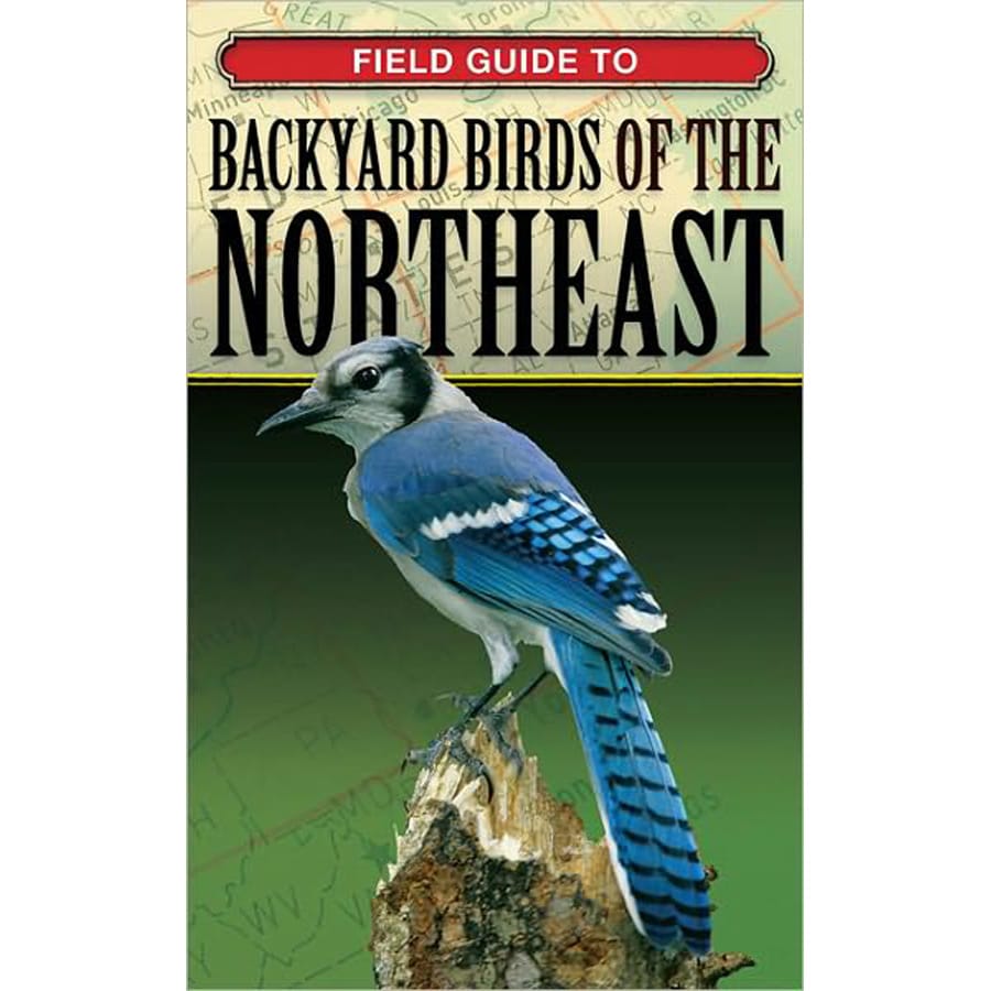  CS00301 Northeast, Field Guide To Backyard Birds of the Birdwatching Book