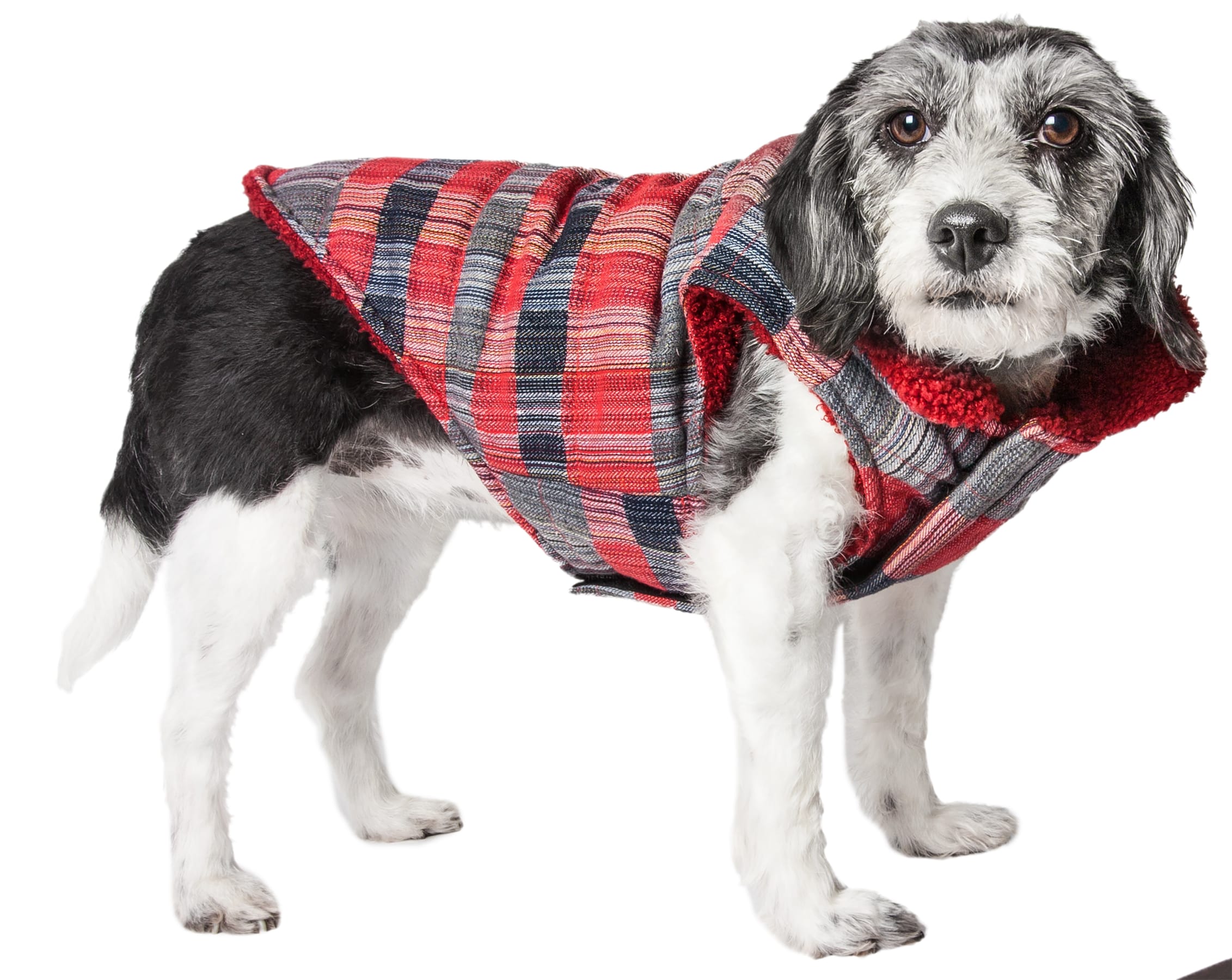 Lowes best sale dog clothes