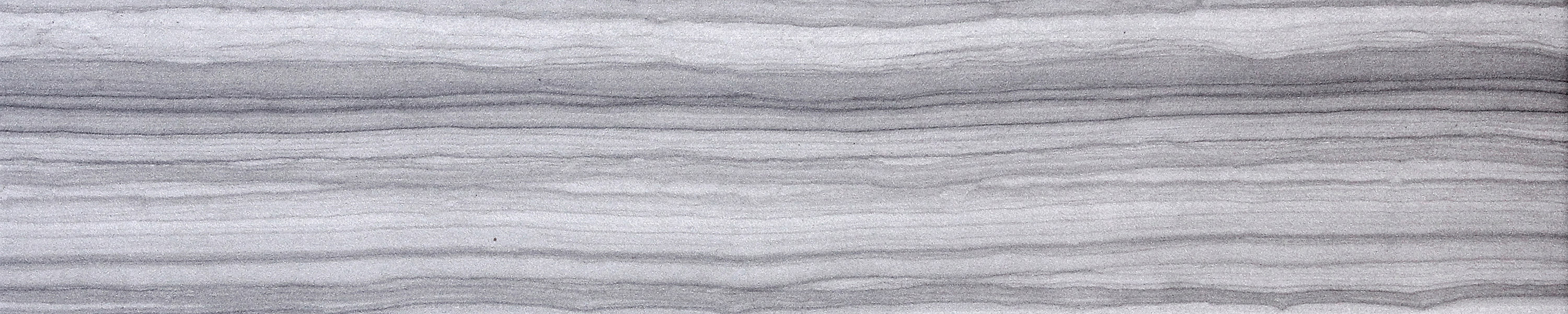 Emser Chronicle Record Porcelain Bullnose Tile (3-in x 24-in)