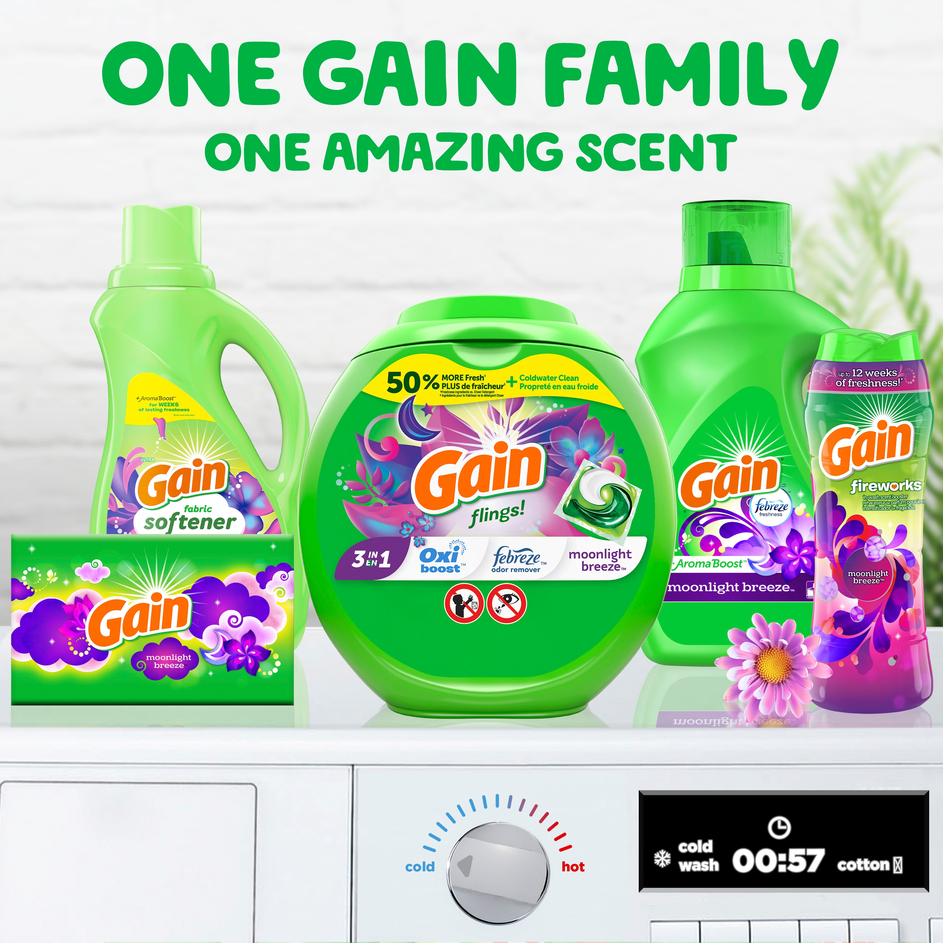 Gain 3077202479 Laundry-Detergent - View #8