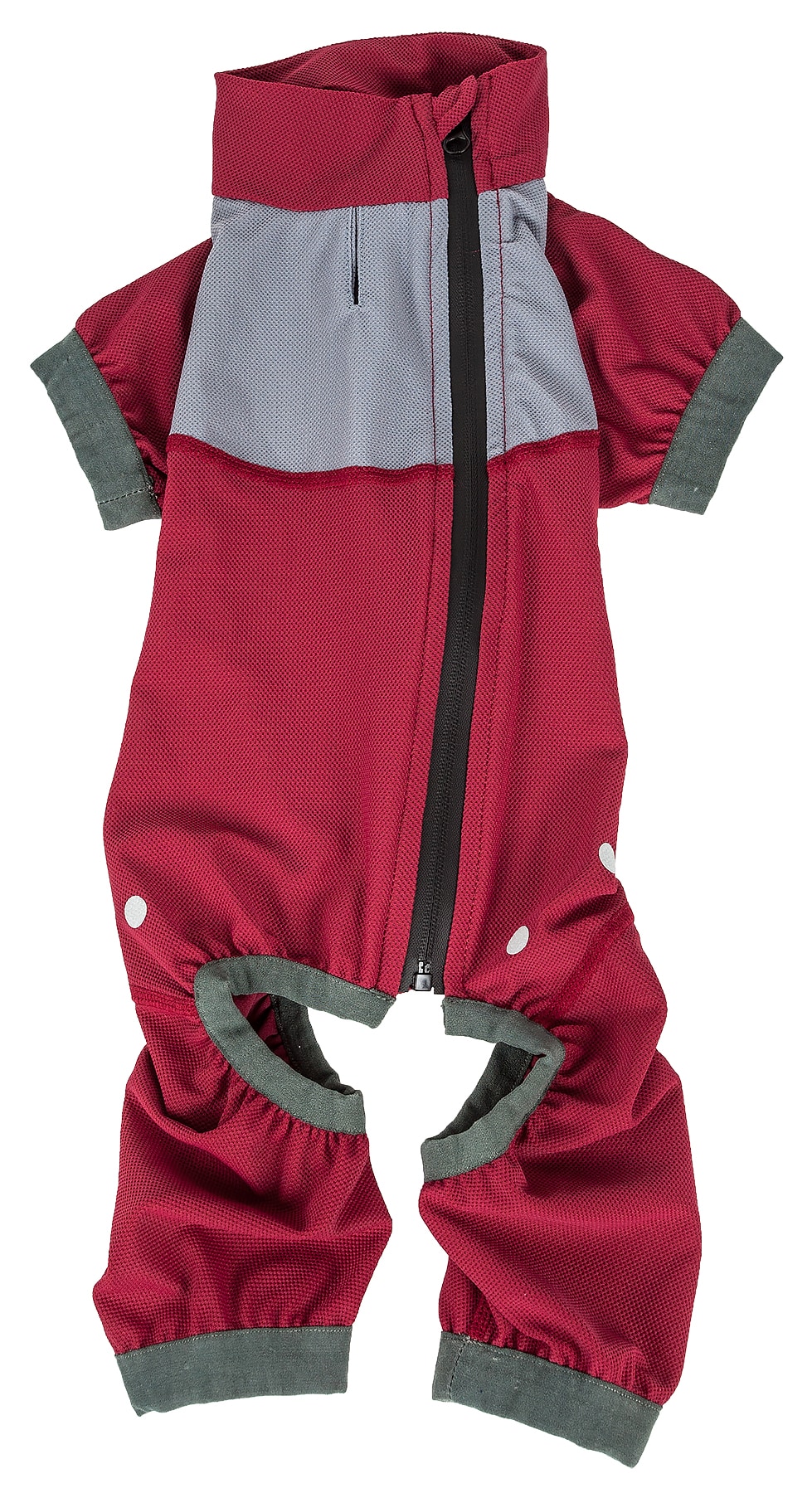 Dog Helios YGHL9RDXS Dog-Apparel - View #4