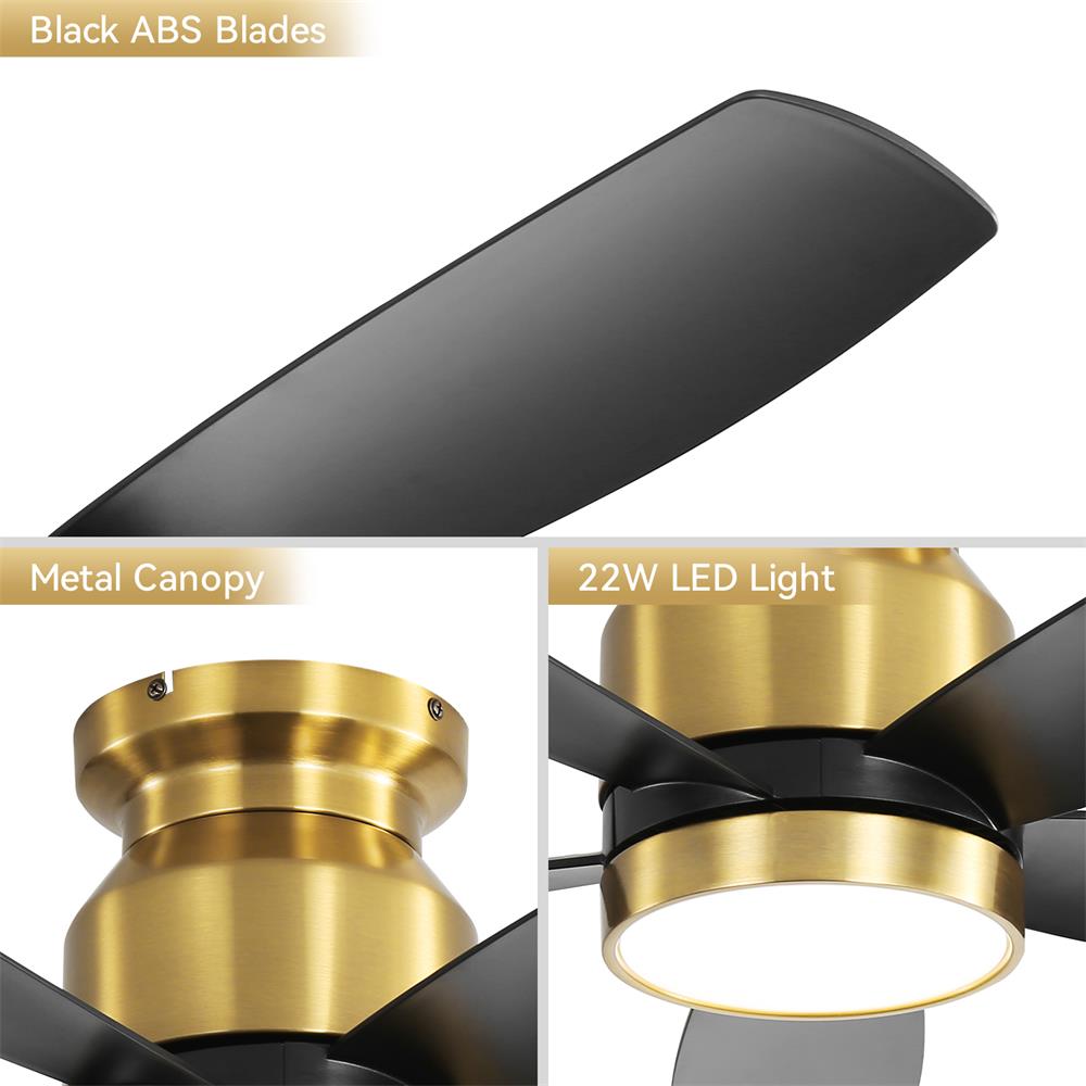Sofucor LW-42K030-BG-BK Ceiling-Fans - View #3