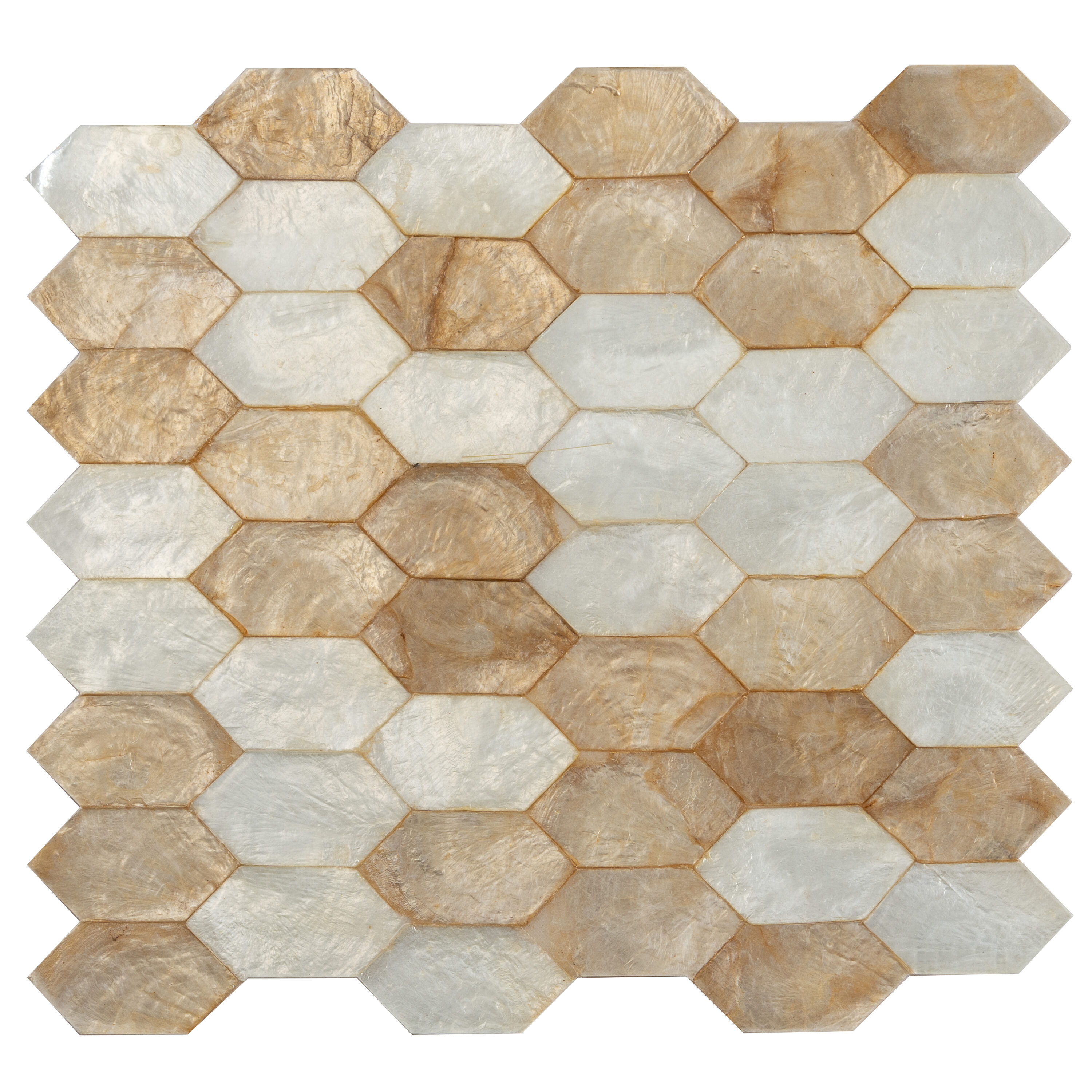 Apollo Tile (Sample) Wall Beige and White Natural Shell 4-in x 4-in Polished Marble Mixed Pattern Patterned Wall Tile
