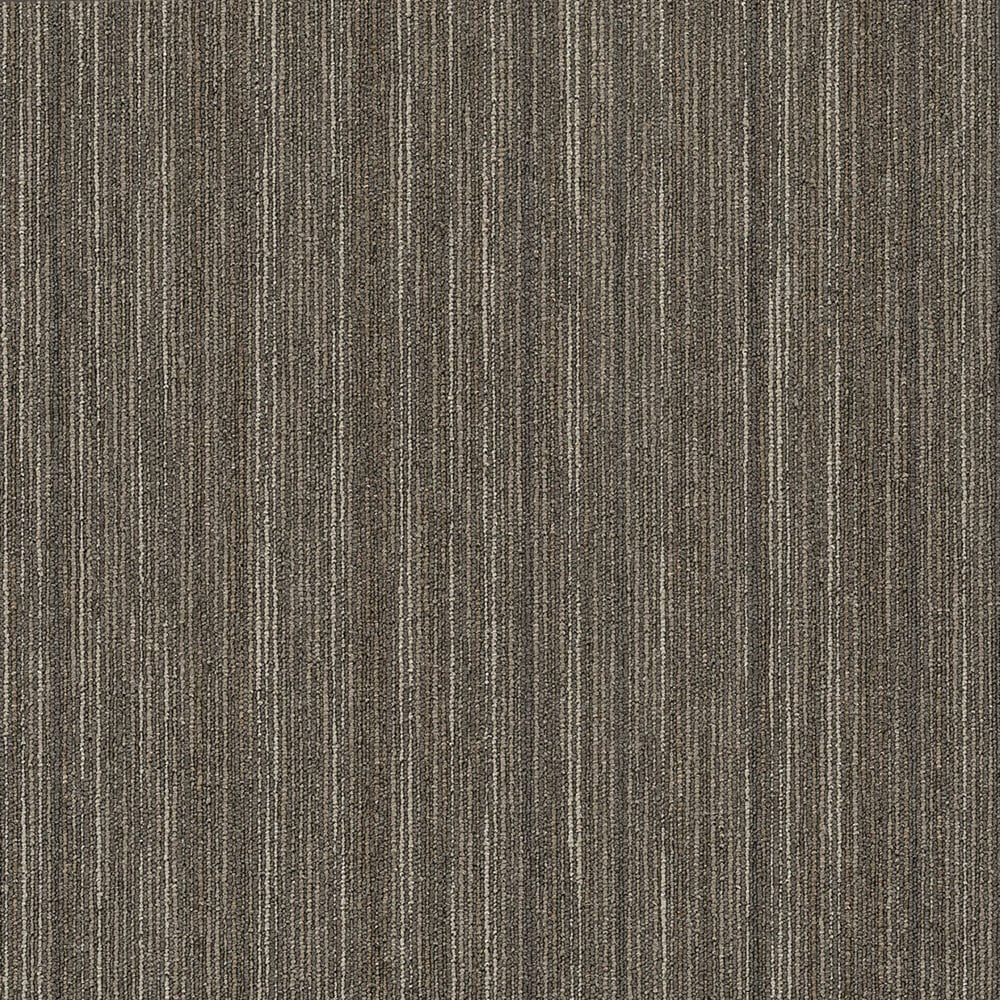 Shaw 7L81045710 Mastermind 24-in x 24-in Smarts Brown Commercial Adhesive Indoor Carpet Tile ( 79.99-Sq. Feet )