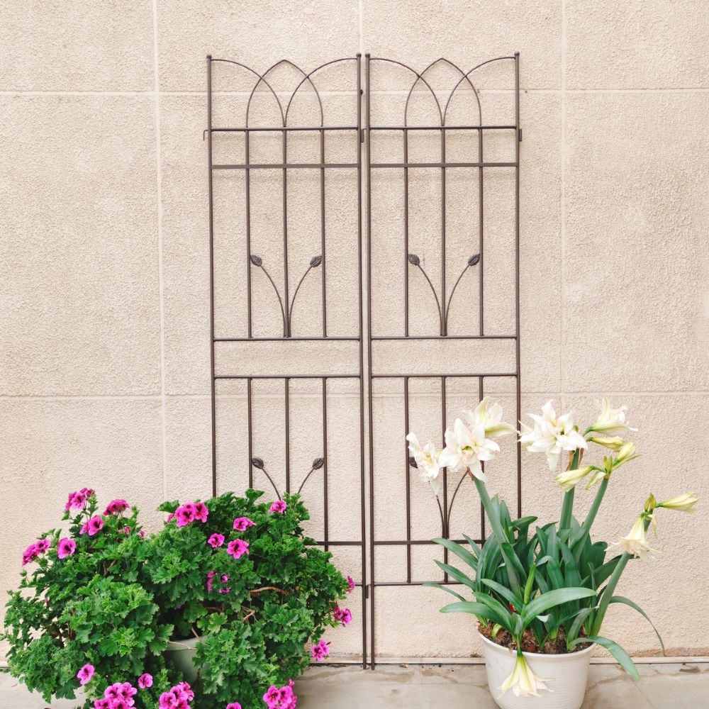 Blisstyle Garden Life 17.7-in W x 71-in H Brown Iron Scroll Garden Trellis For Climbing Plants For Cucumbers For Roses For Tomatoes 2 -Pack