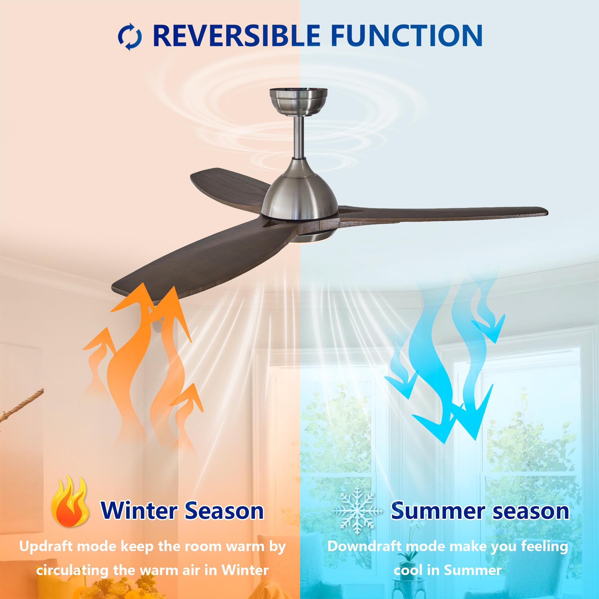 Bayfeve BF-442982-MP Ceiling-Fans - View #7