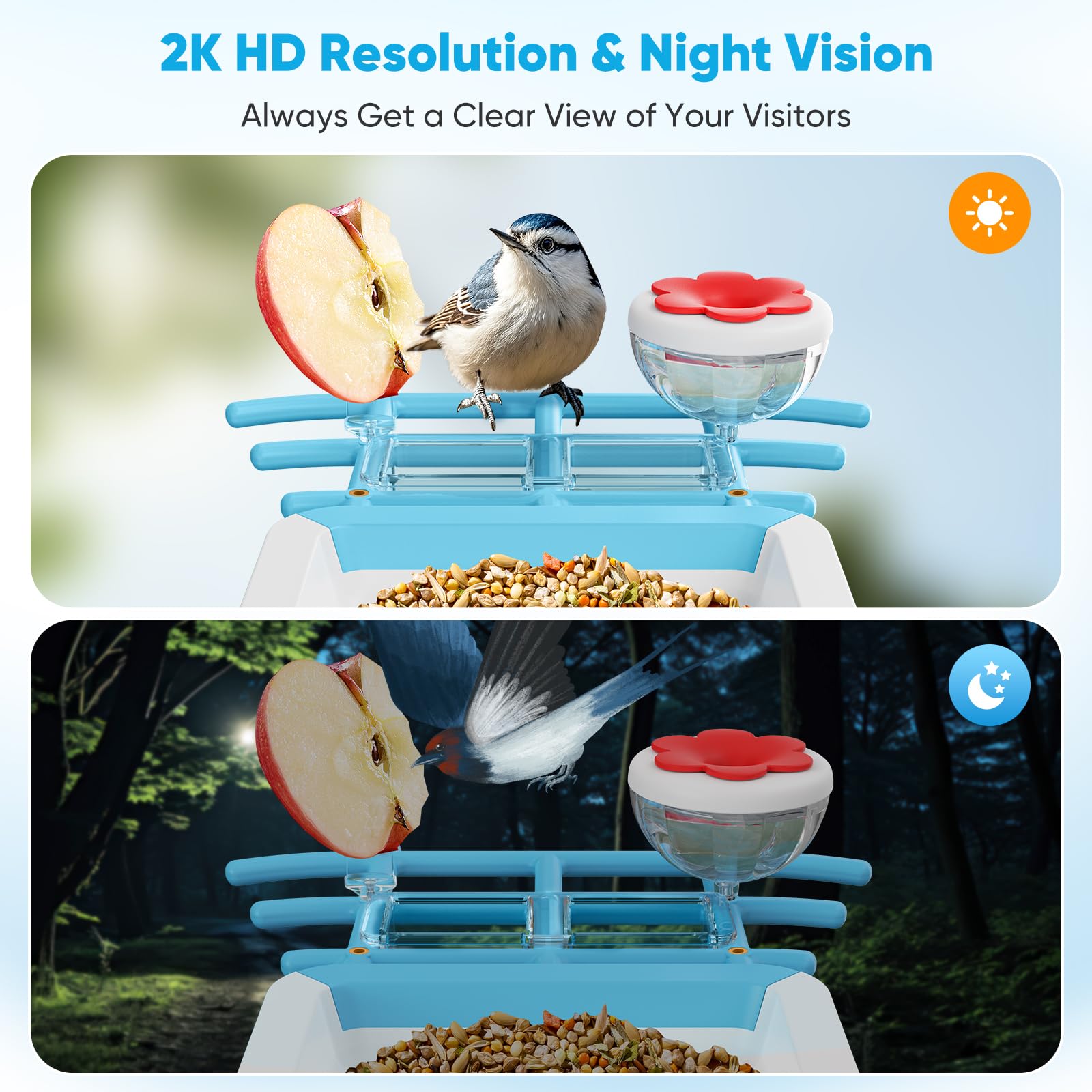 Etokfoks LET1202R25 Bird-Feeders - View #4