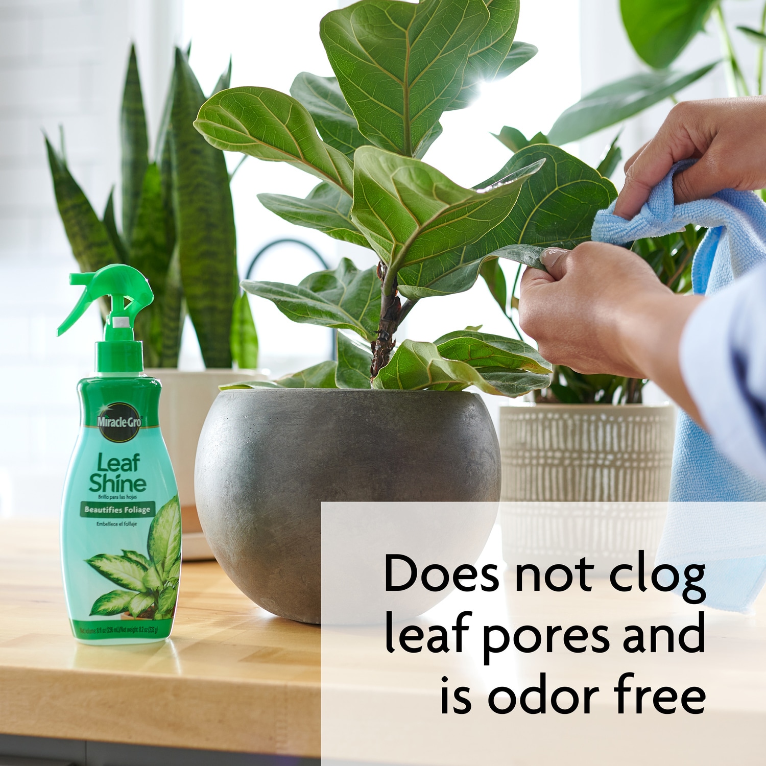 Leaf Armor - Indoor Plant Leaf Shine Spray, Cleaner & Control Pests - for  Real