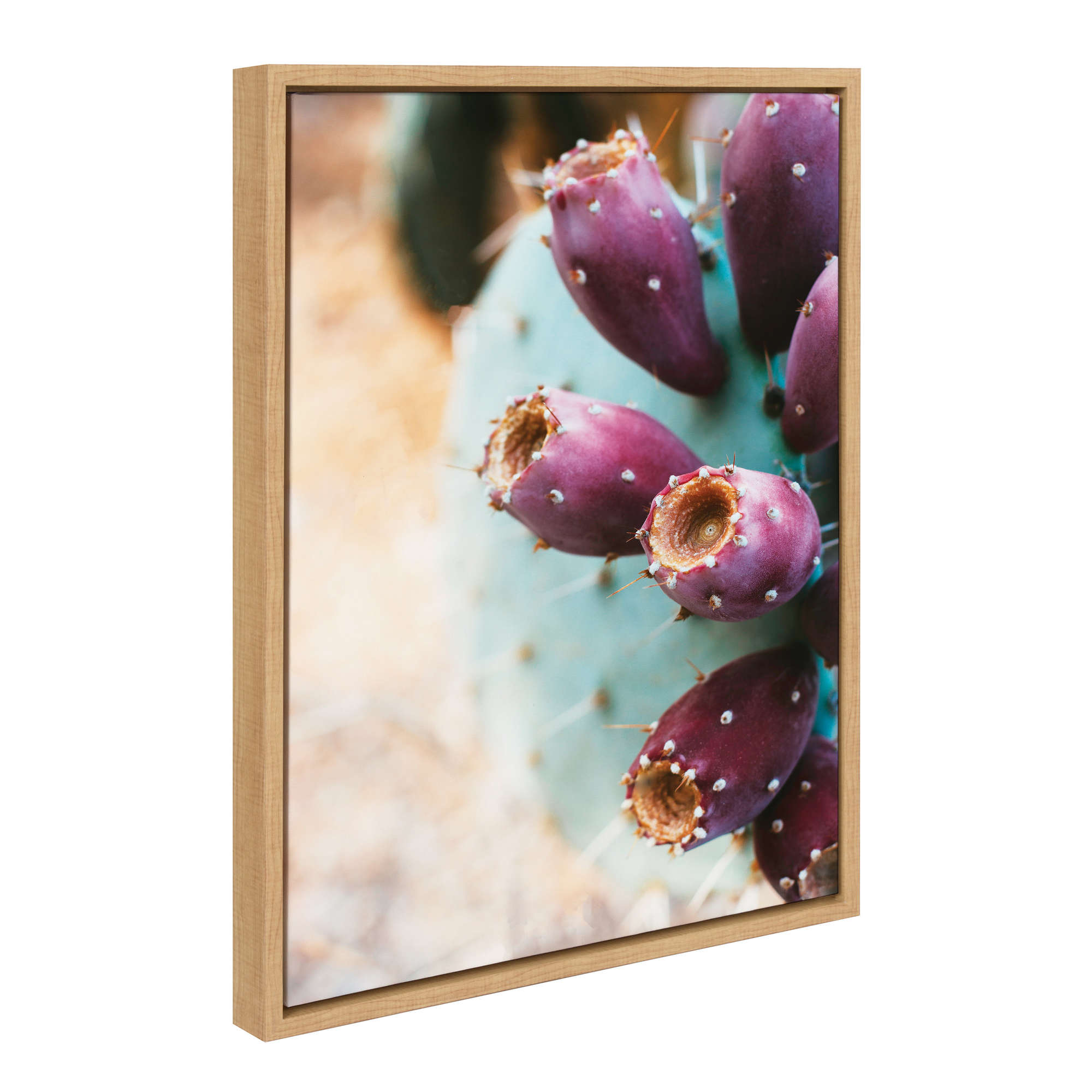 Kate and Laurel Sylvie Arizona Prickly Pear Cactus Framed Canvas by Stephanie Klatt