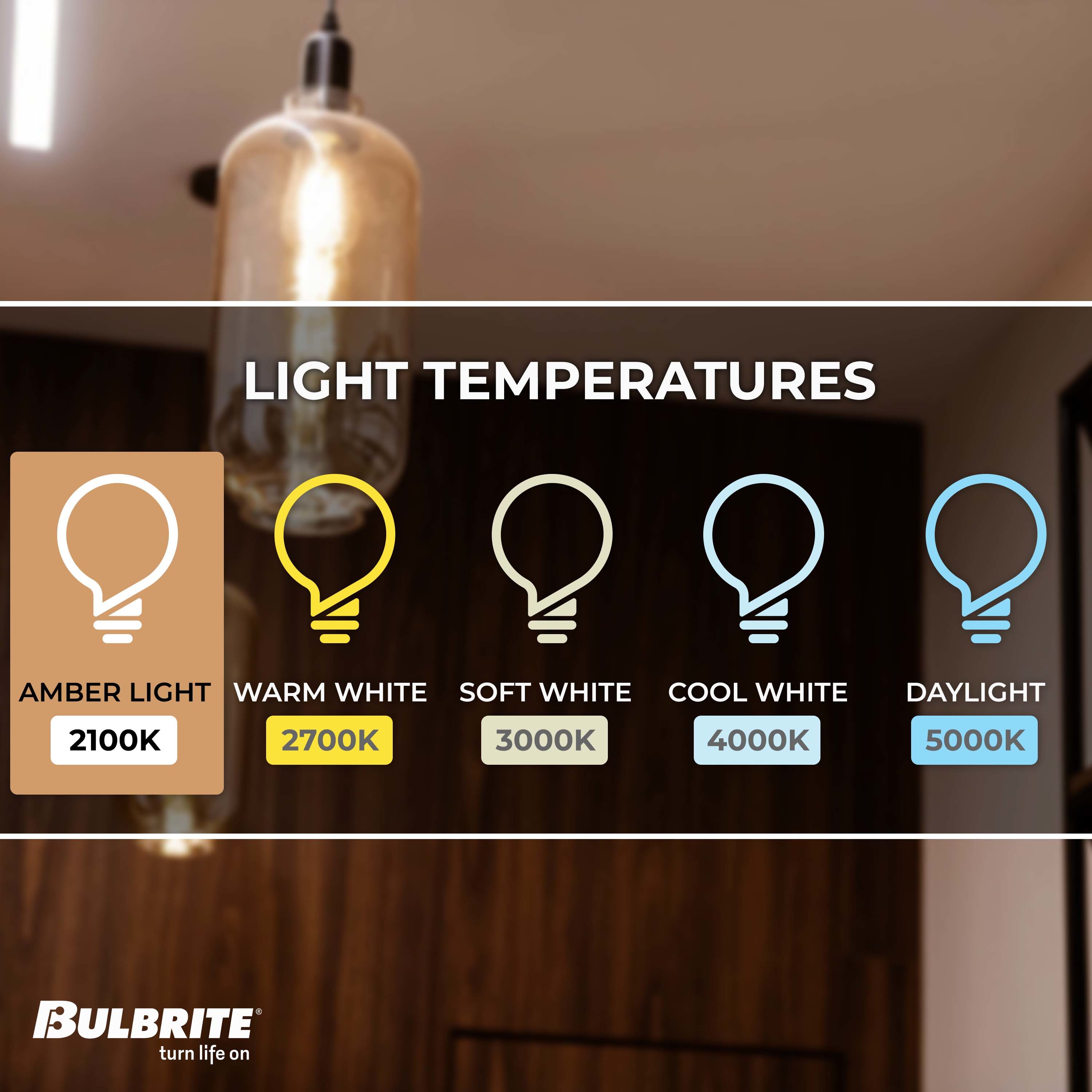 Bulbrite 137301 Dec-Led-Light-Bulbs - View #4