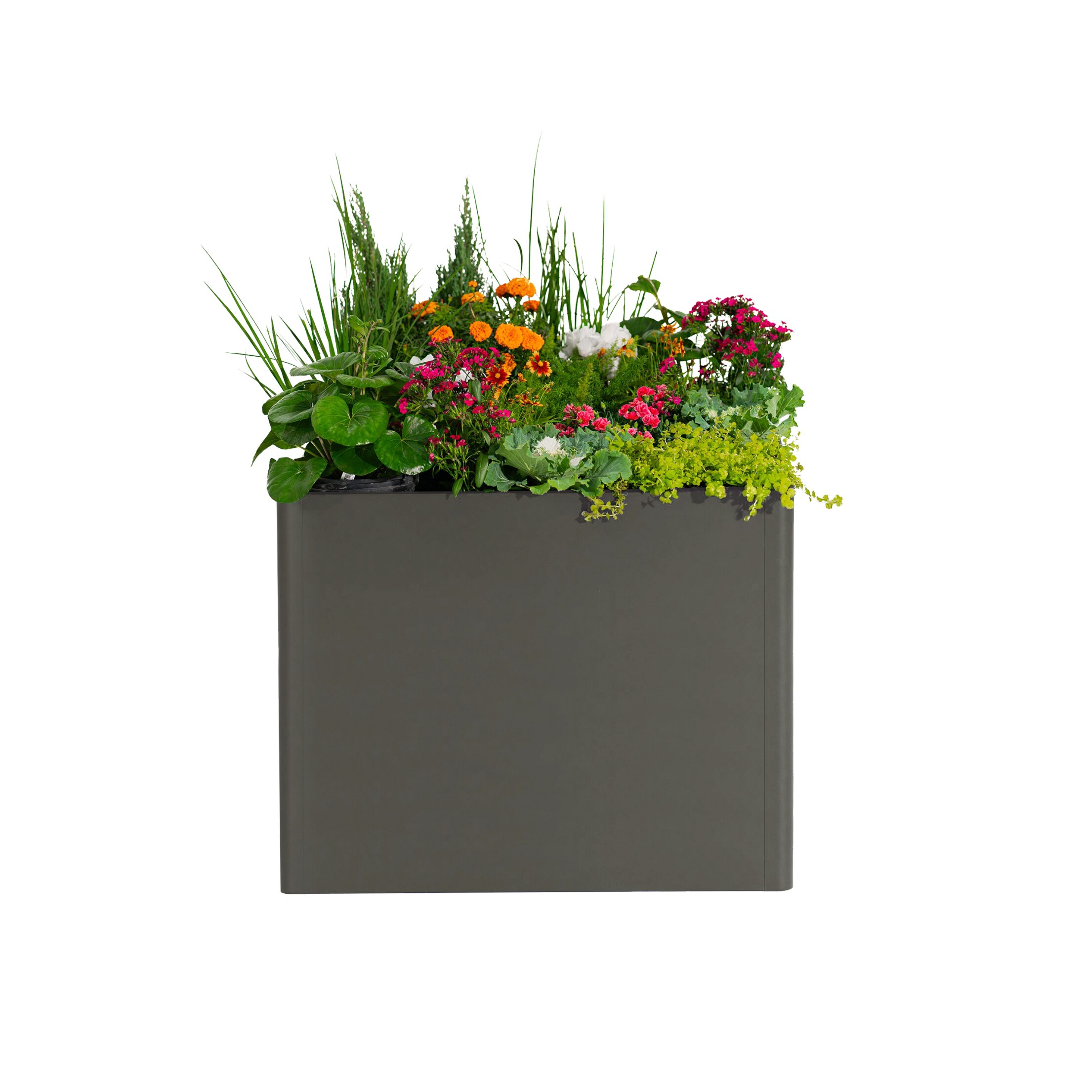 Vego Garden VBMT4283CH Raised-Garden-Beds - View #4
