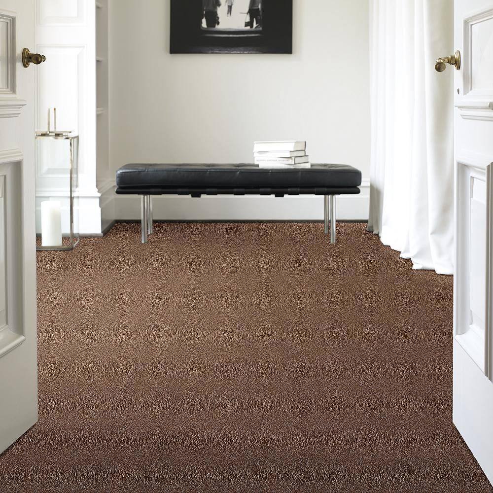 STAINMASTER B707300011 Carpet-Panel - View #2