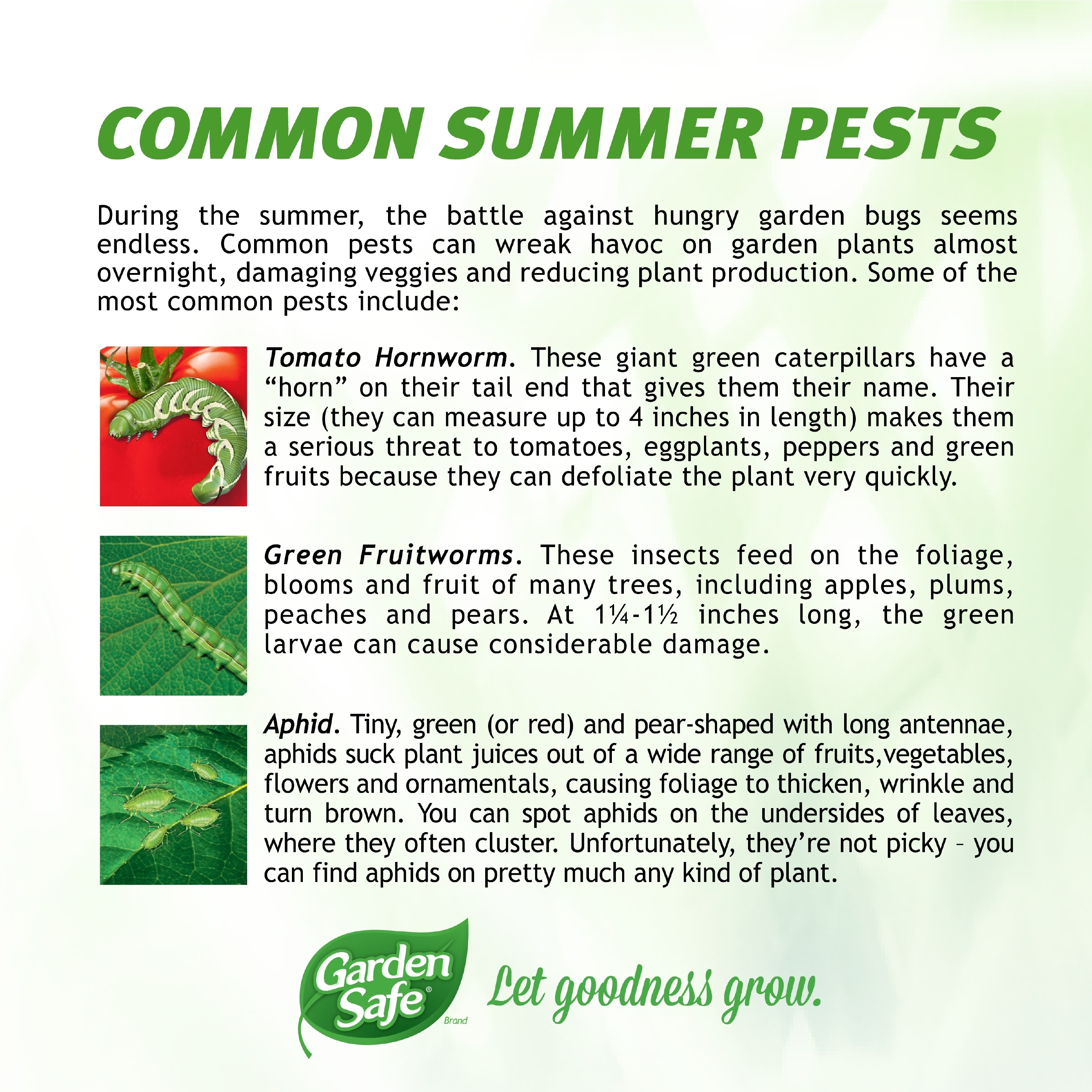 Garden Safe HG-93213 pesticides - View #3