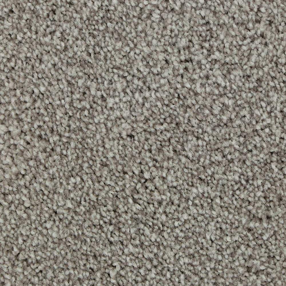 STAINMASTER STP50-12-L004 Calming Stride II Weathered Wood Gray 60-oz sq yard Triexta Textured Indoor Carpet