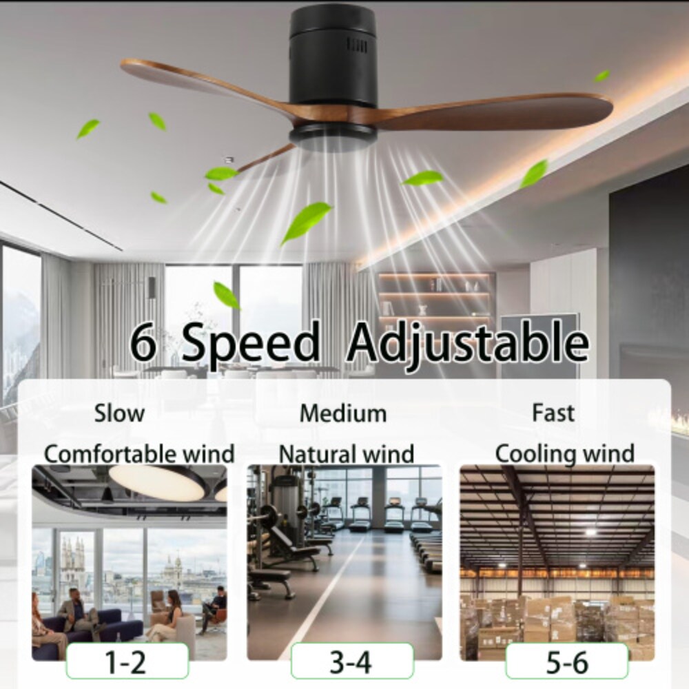 BBLLWJ BBLLWJ-W2352P373511 Ceiling-Fans - View #4