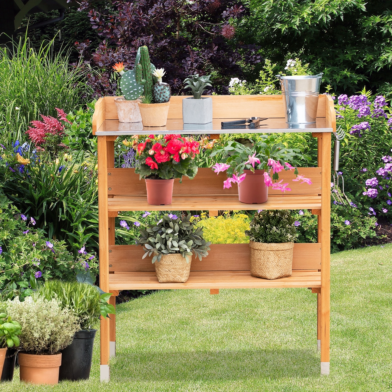  A033553 Potting-Benches - View #6