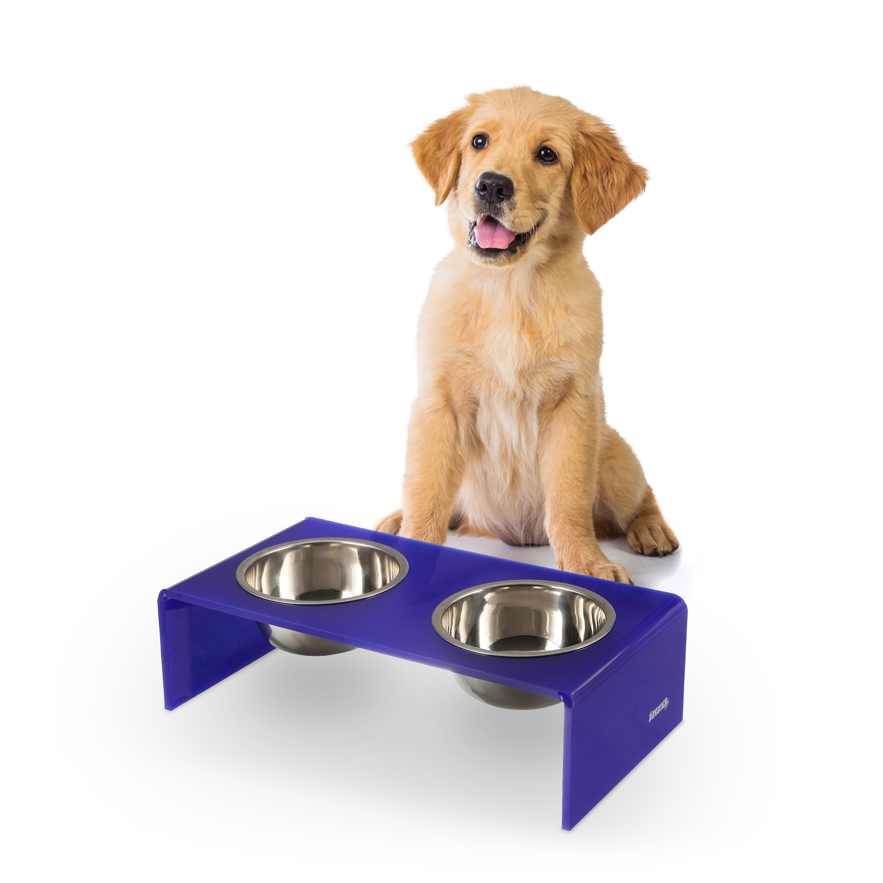 The Licker Store Keaton 5 in. Small/Medium Modern Acrylic Rectangular Elevated Pet Feeder with 20oz 2-Stainless Steel Bowls - Purple/Chrome