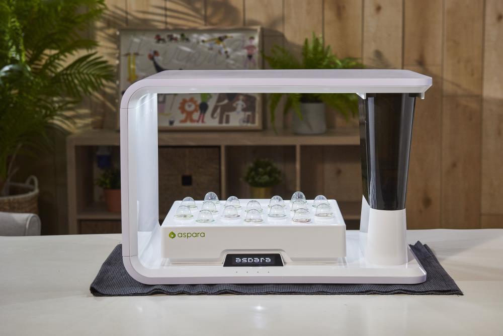 aspara GS1003-W Hydro-Systems - View #3