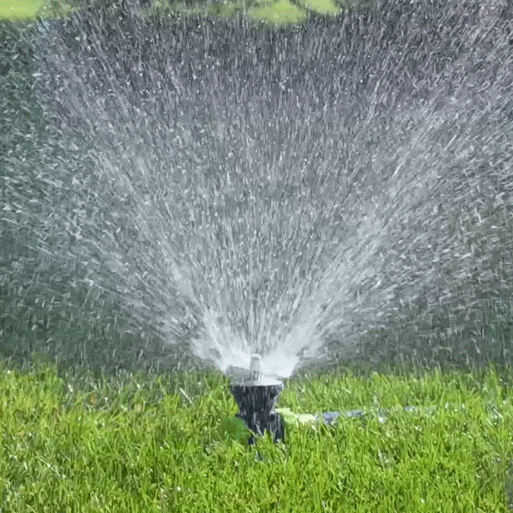 Ray Padula EC-SNSV-L sprinklers - View #2